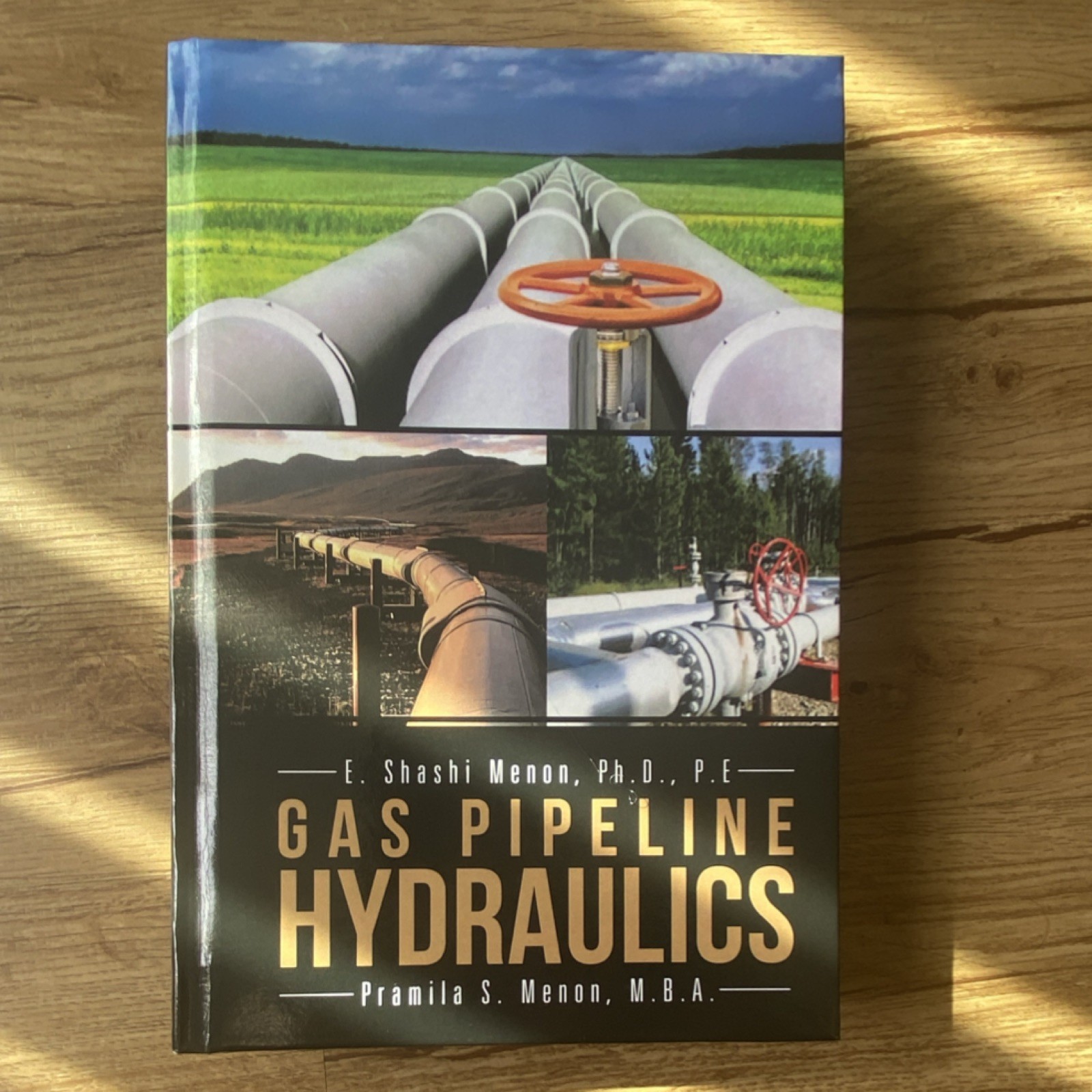 Gas Pipeline Hydraulics by E. Shashi Menon & Pramila S. Menon Hardcover