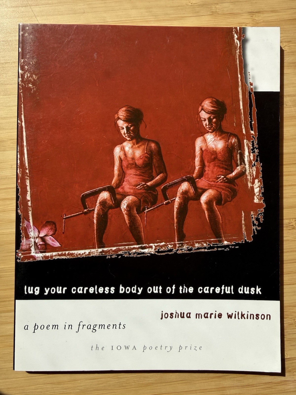 Joshua Marie Wilkinson, Lug Your Careless Body Out of the Careful Dusk (Paperba…