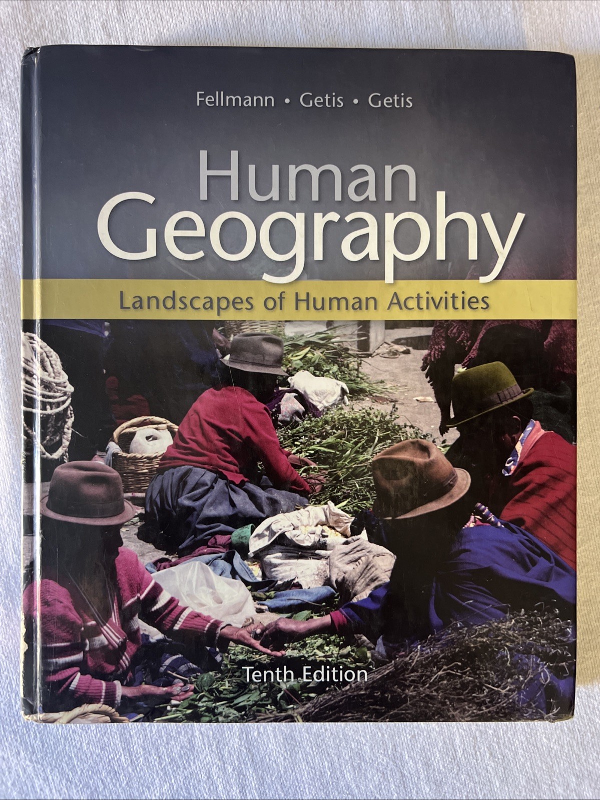Human geography 10th edition 2008 hardcover book ISBN9780073051512MHID0073051519