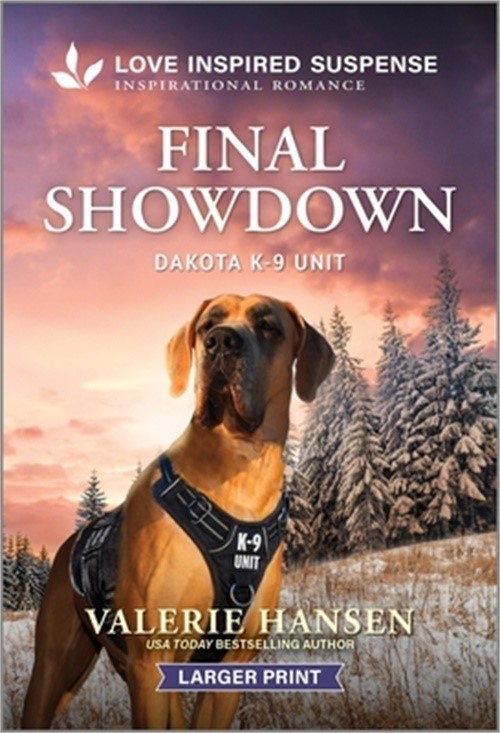 Final Showdown (Paperback or Softback)