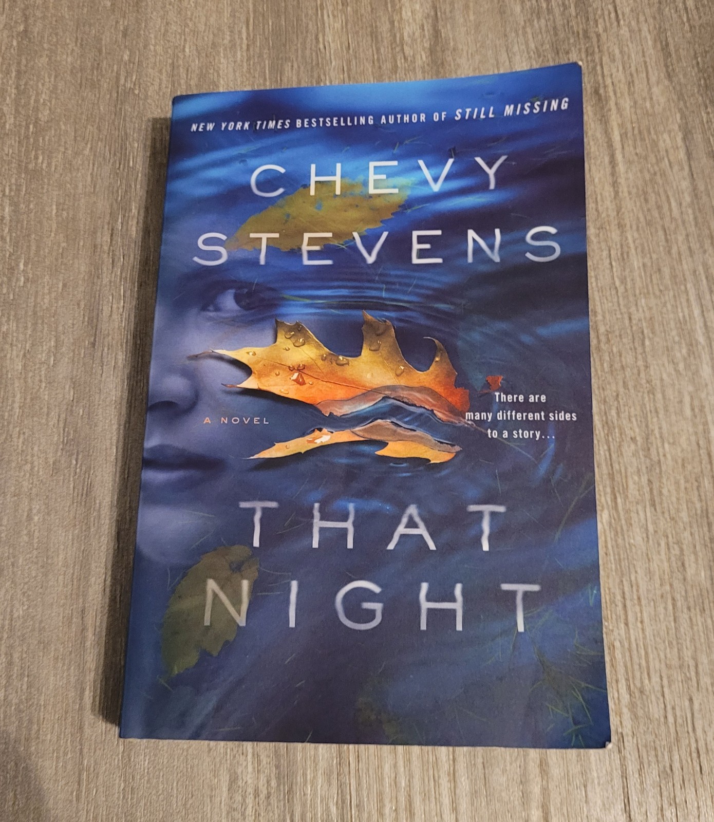 Chevy Stevens That Night: A Novel Paperback Thriller Fiction