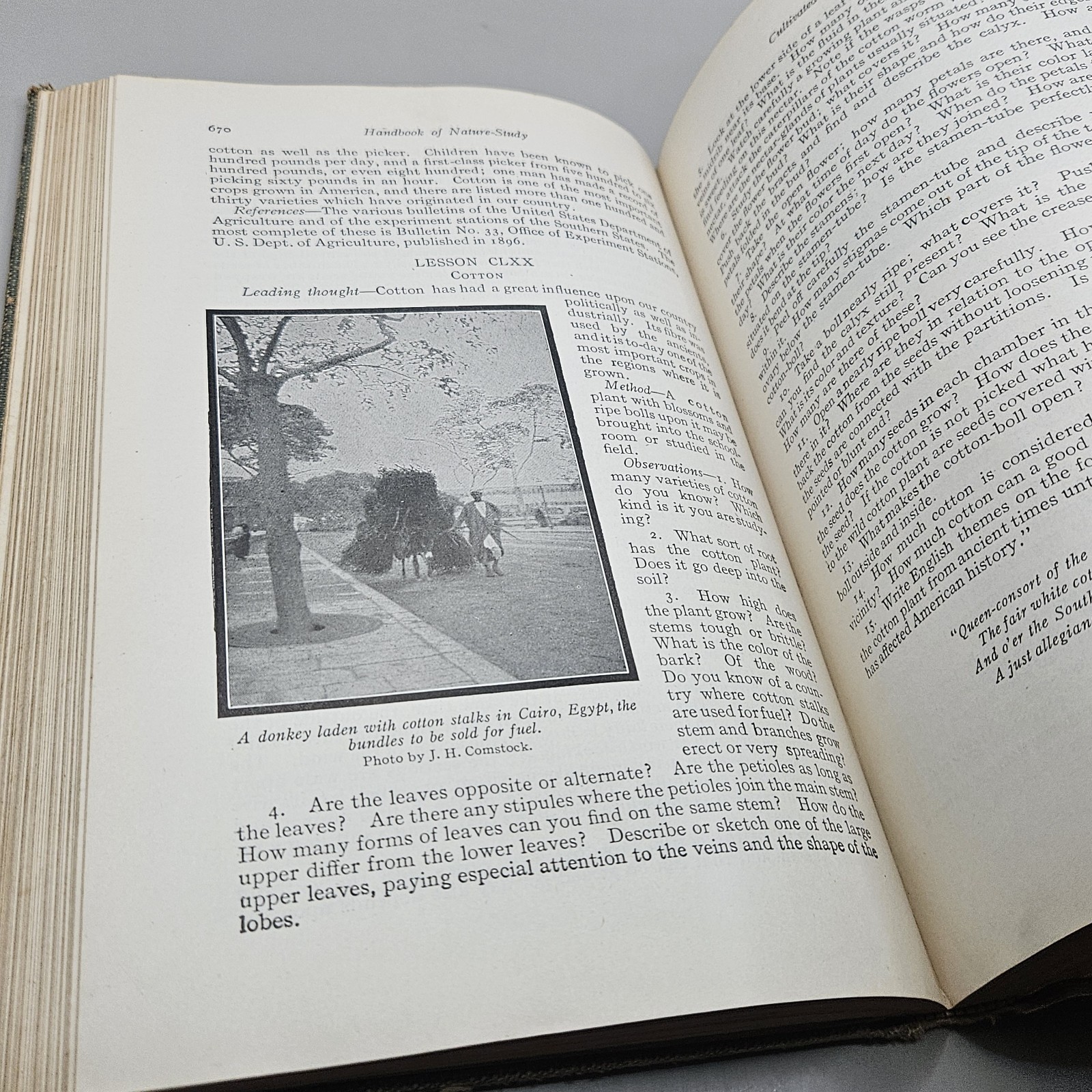 Handbook Of Nature-Study By Anna Comstock 1911 Published 1923