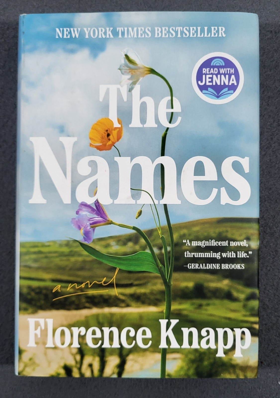 Names by Florence Knapp (2025, Hardcover) First Edition First Printing Brand New