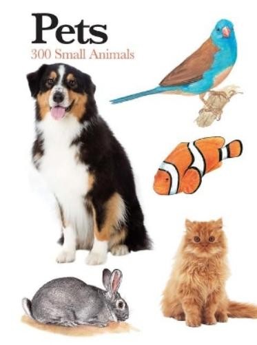 Claudia Martin Pets (Paperback) Mini Expert Guides