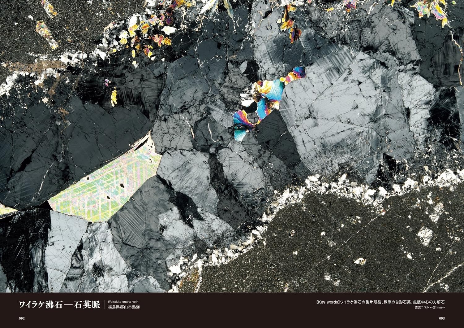 Rock Thin Section Illustrated Guide: Mineral Composition and History from Japan