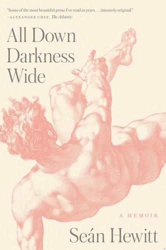 All Down Darkness Wide: A Memoir, Hewitt, Seán, New Book