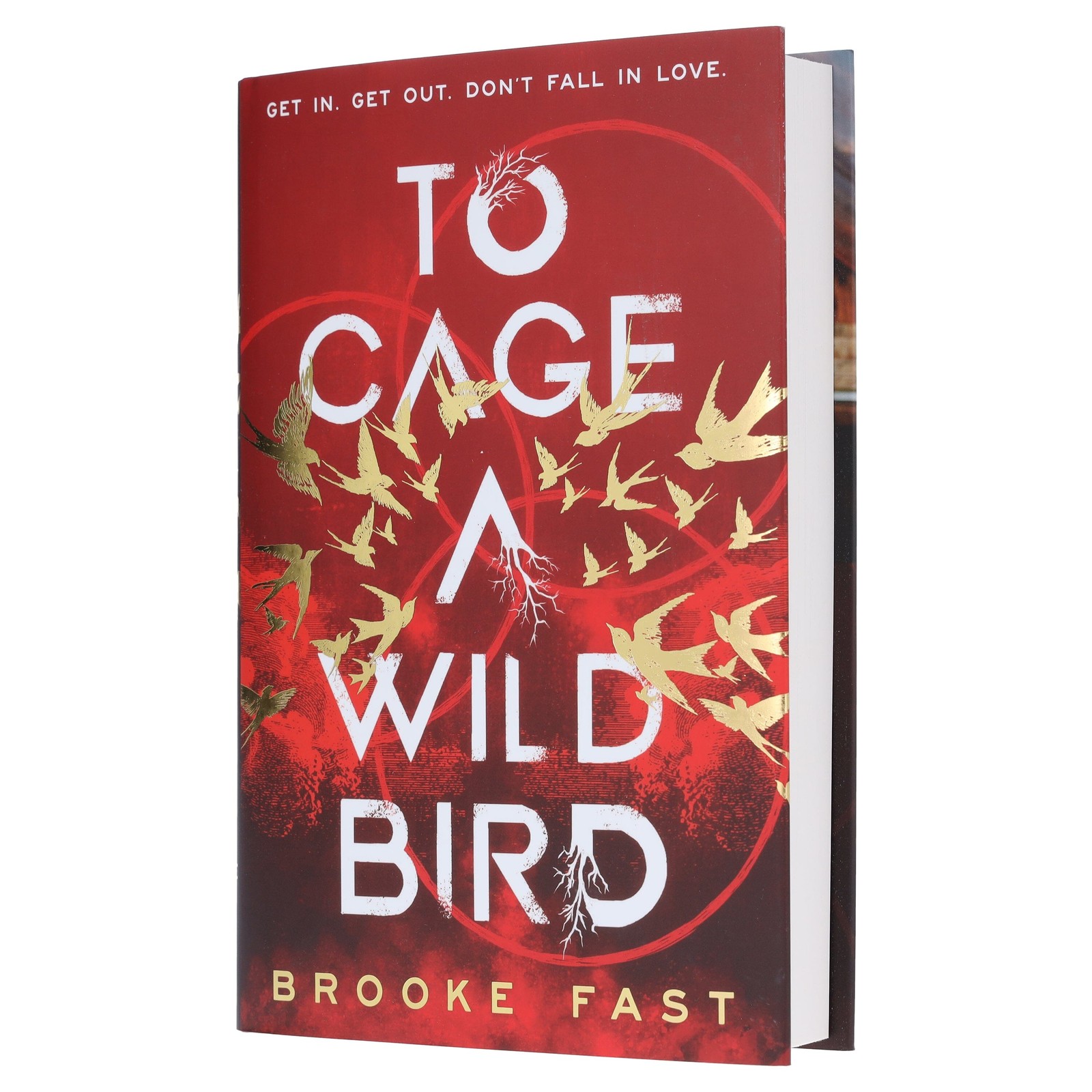 To Cage a Wild Bird by Brooke Fast (Divided Fates Series)- Fiction – Hardback