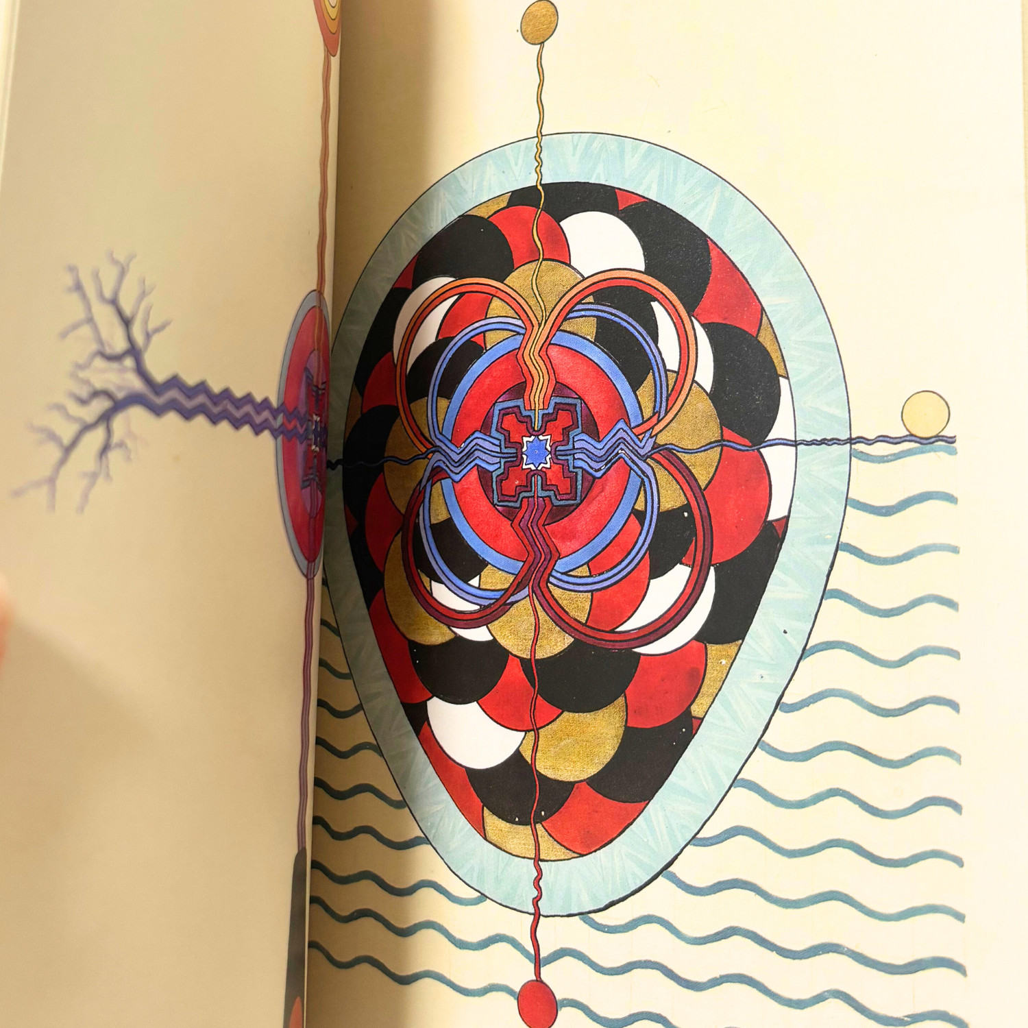 C.G. Jung The Red Book Liber Novus Plates & Illustrations | Rare Psychology Jap