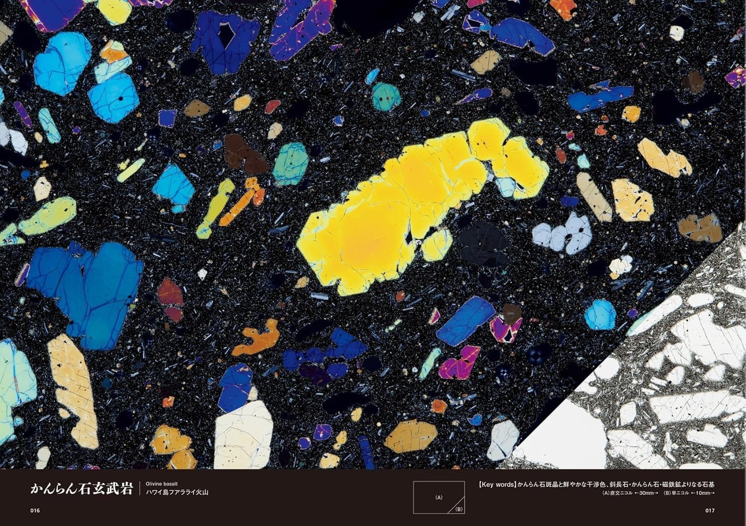 Rock Thin Section Illustrated Guide: Mineral Composition and History from Japan