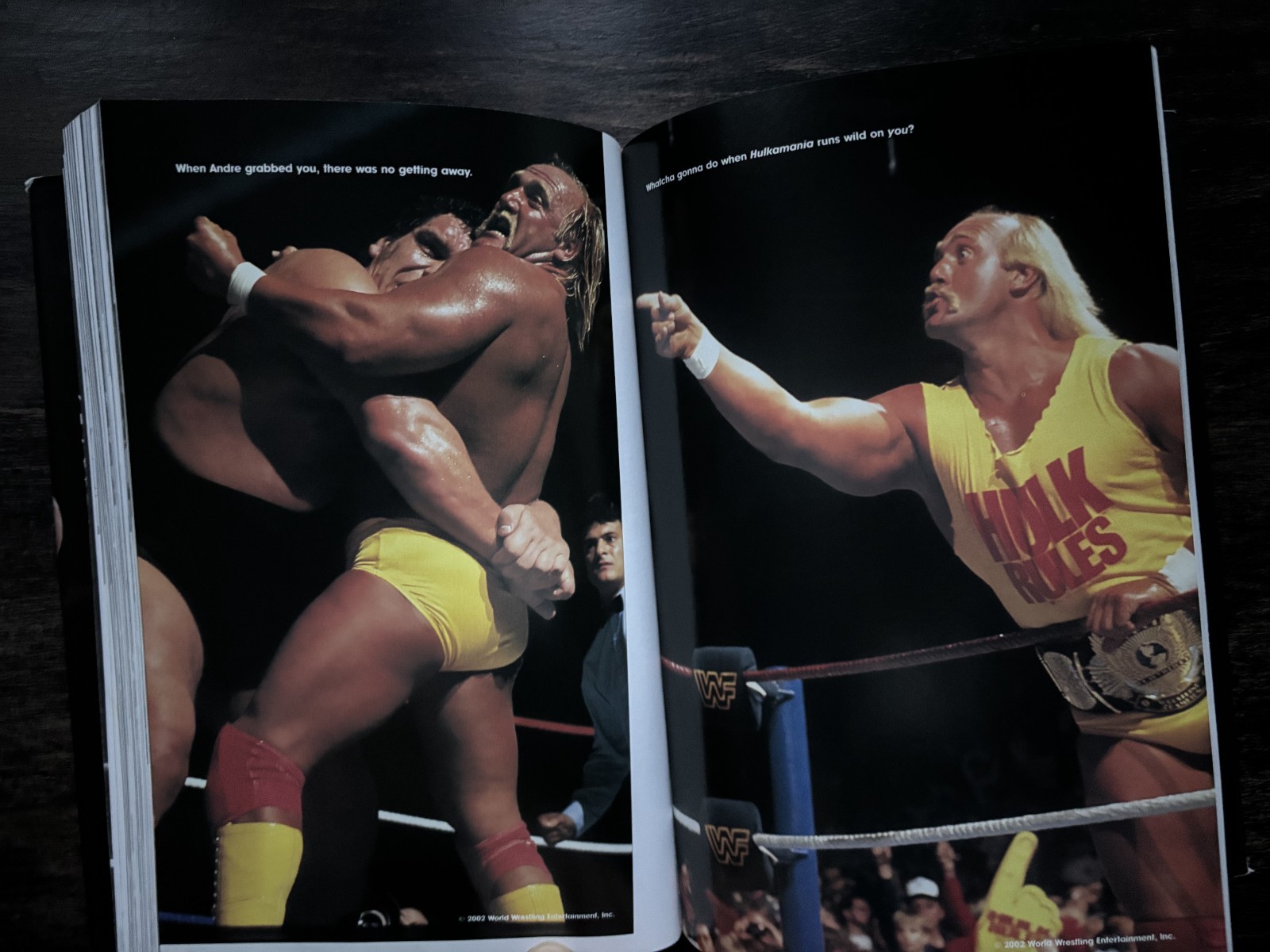 Hollywood Hulk Hogan 2002 Autobiography Hardcover Book WWE