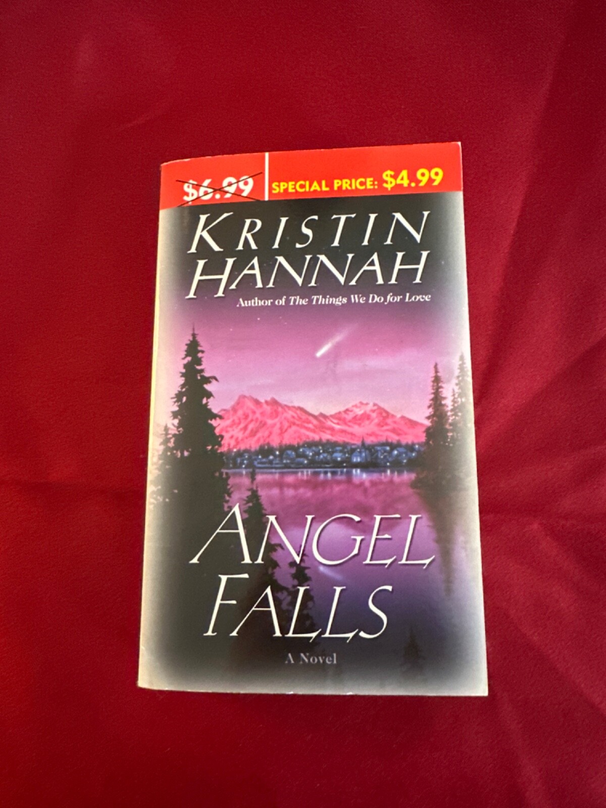 Angel Falls : A Novel by Kristin Hannah (2004, Mass Market)