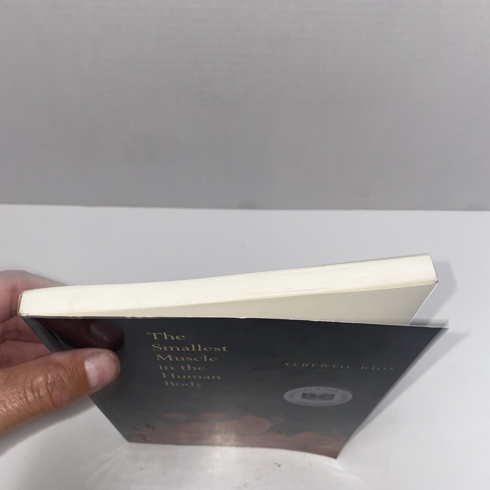 The Smallest Muscle in the Human Body Alberto Rios Poetry Book PB Copper Canyon