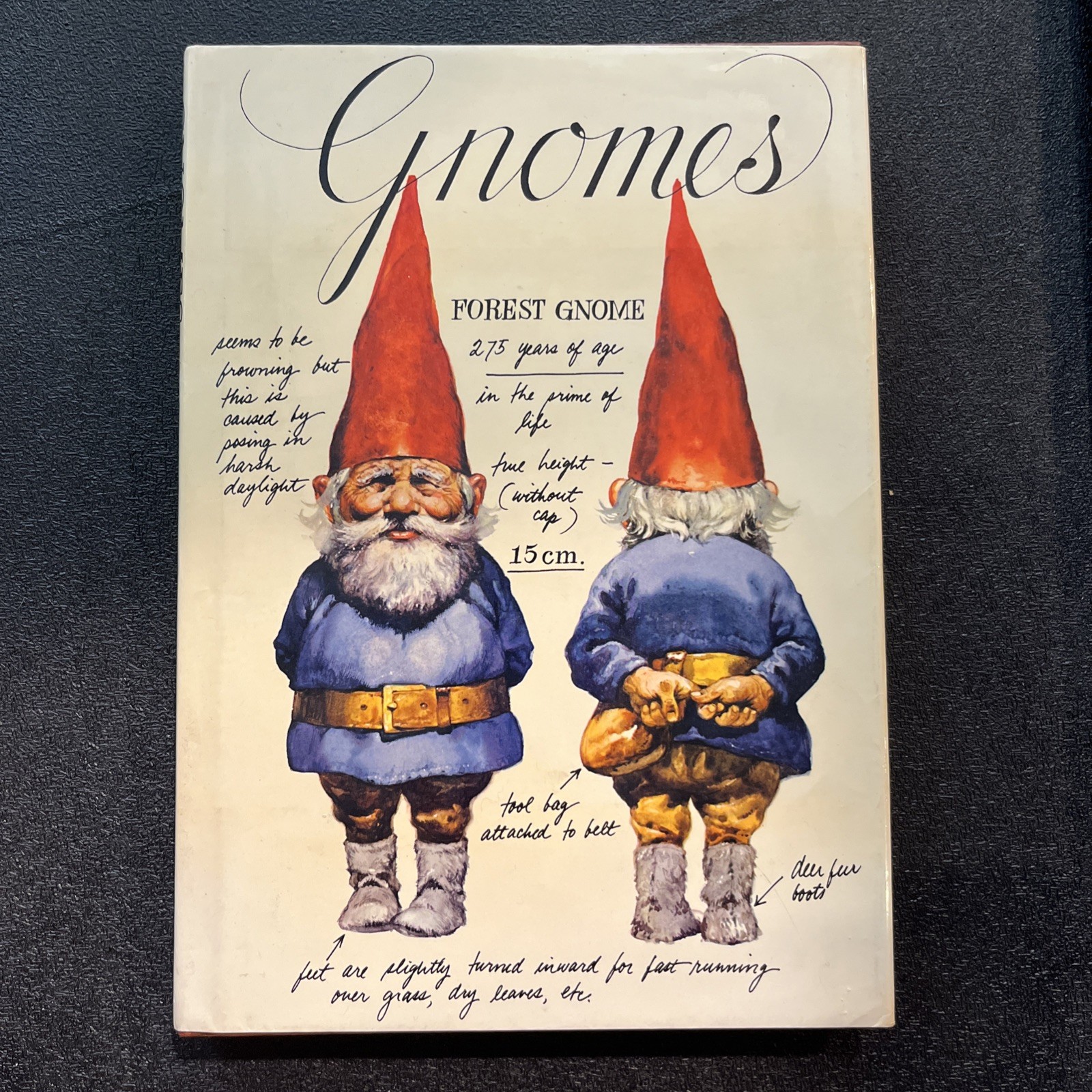 GNOMES by Wil Huygen & Rien Poortvliet 1977 Hardcover & Dust Jacket *see note*
