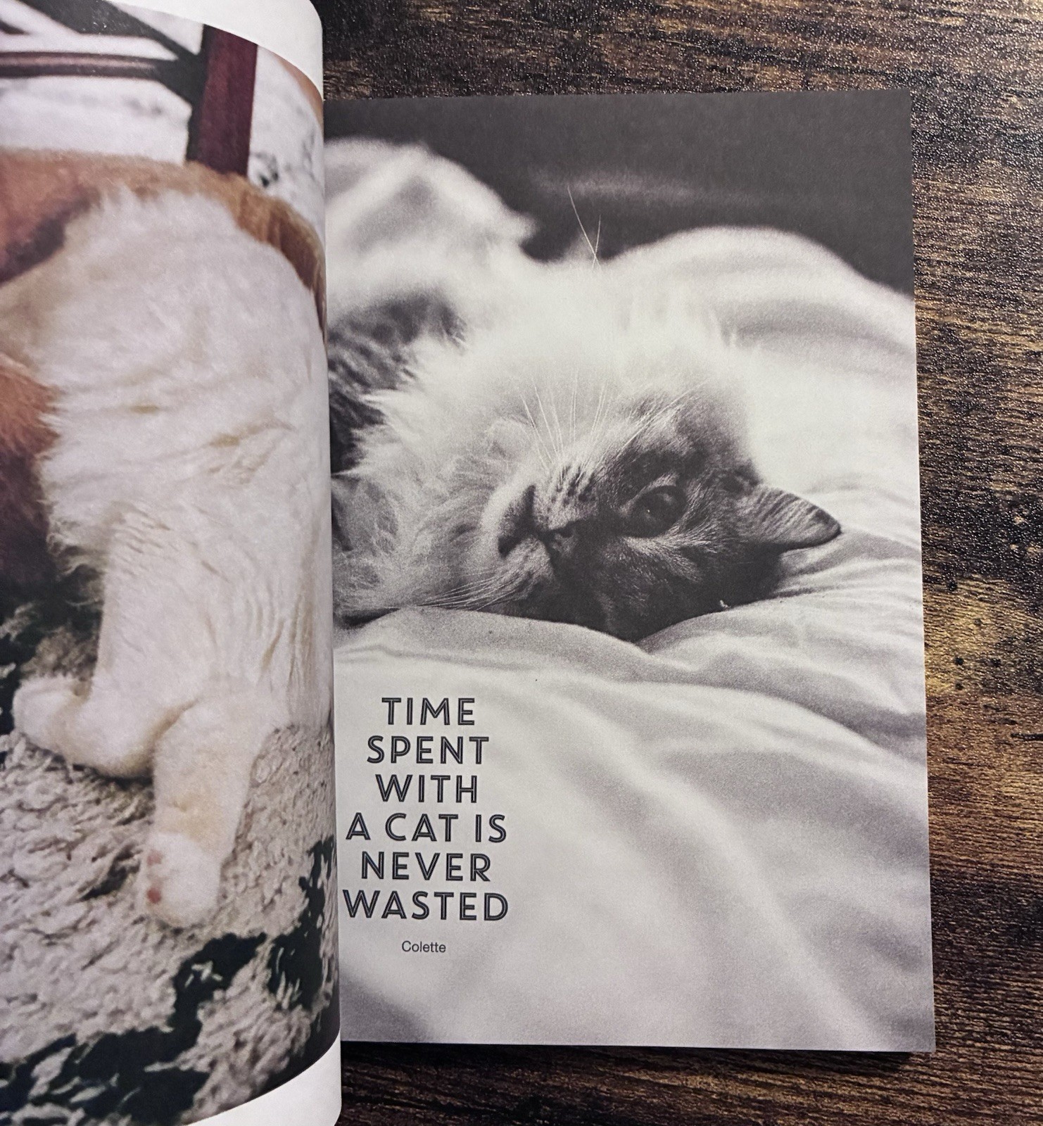 Flow Magazine Special Edition Issue “Calm Down” Paperbook in Dutch Language