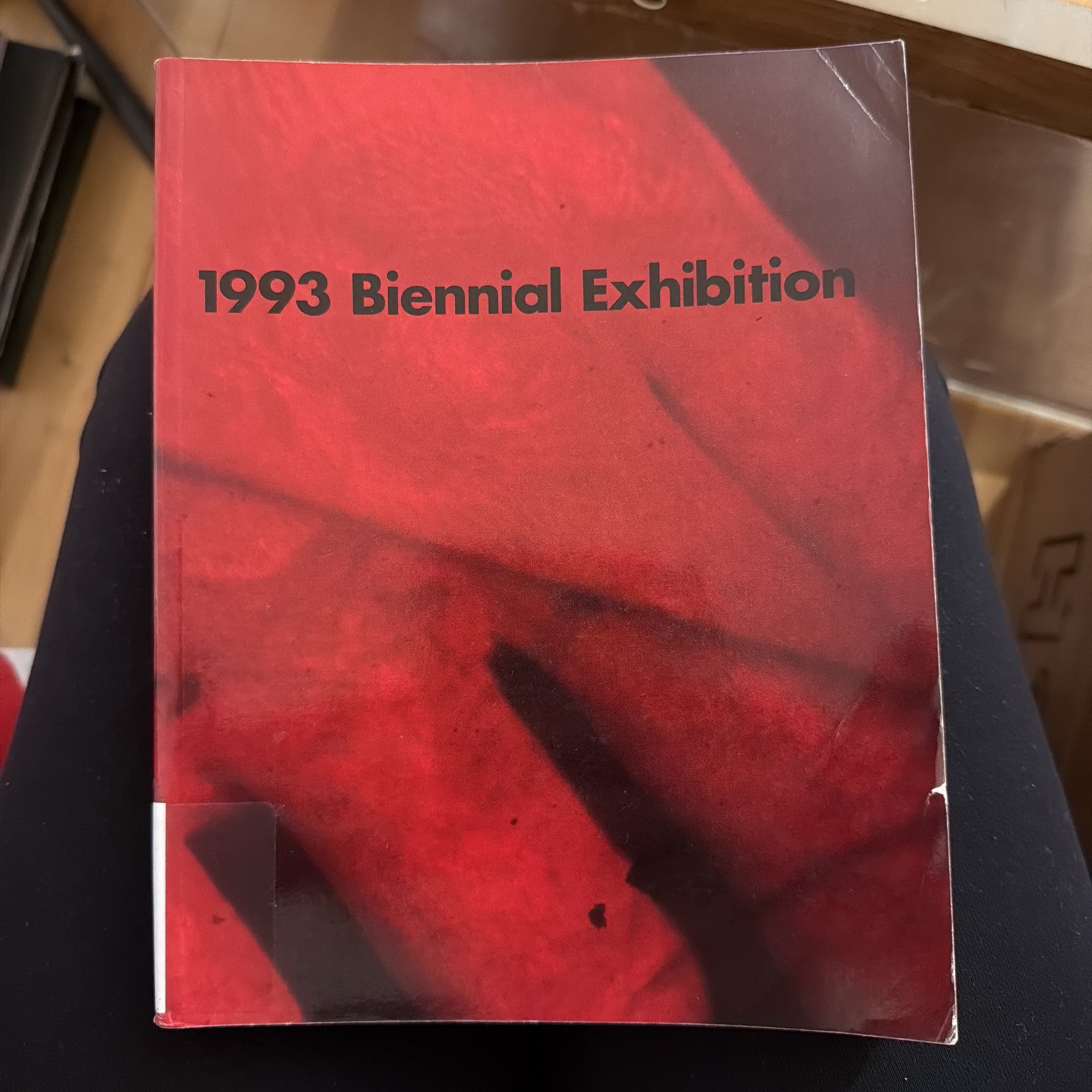 1993 Biennial Exhibition : Whitney Museum of American Art by Lisa Phillips,…