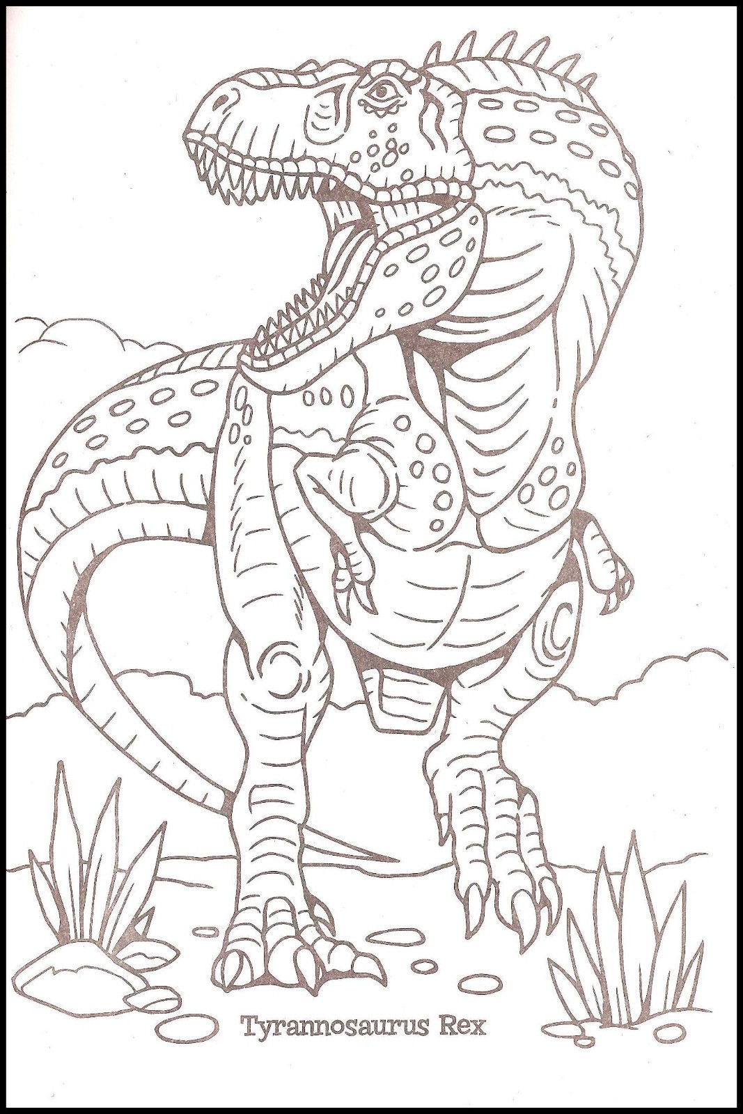 Dino Clash – Coloring & Activity – Book