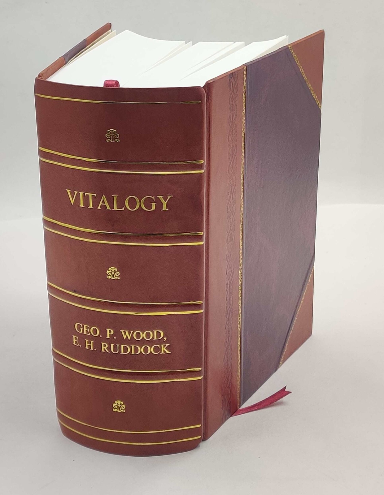 Vitalogy, or, Encyclopedia of health and home adapted for home a [Leather Bound]