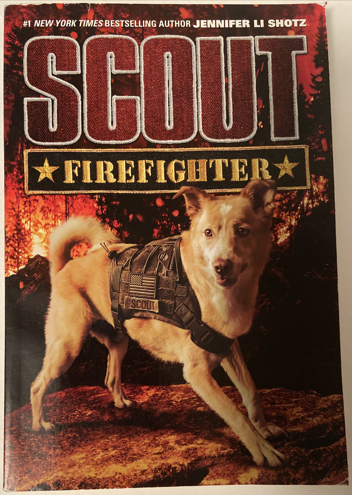 Scout Ser.: Scout: Firefighter by Jennifer Li Shotz (2018, Trade Paperback)