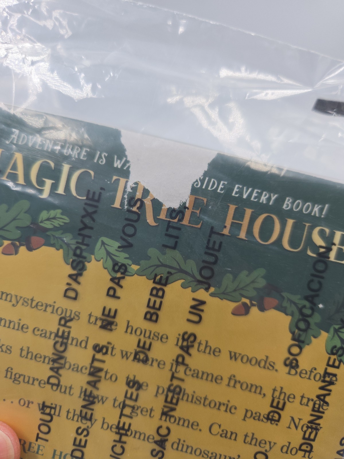 Magic Tree House 12 Book Set Books 1-12