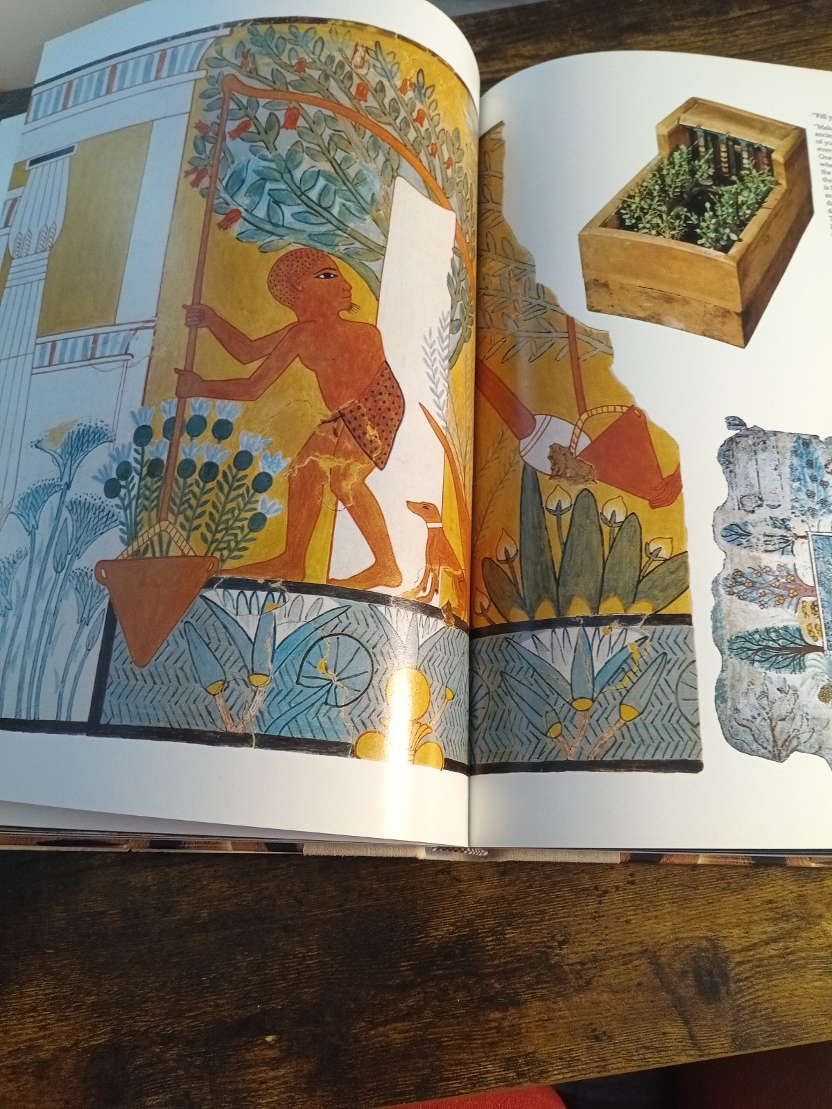 Ancient Egypt: Discovering Its Splendors National Geographic 1978 1st Ed…