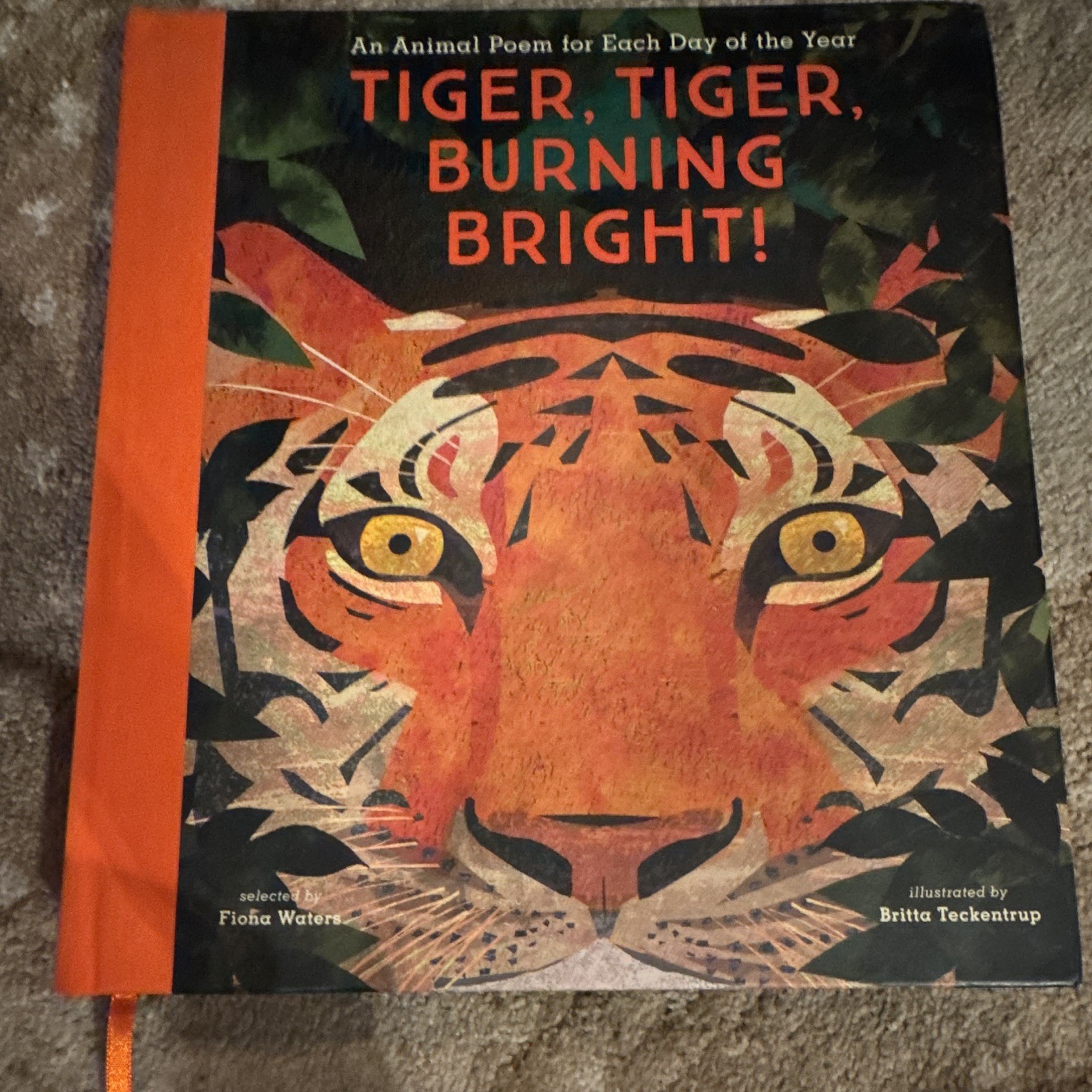 Nosy Crow Tiger, Tiger, Burning Bright! Hardcover (2017) Illus Britta Teckentrup