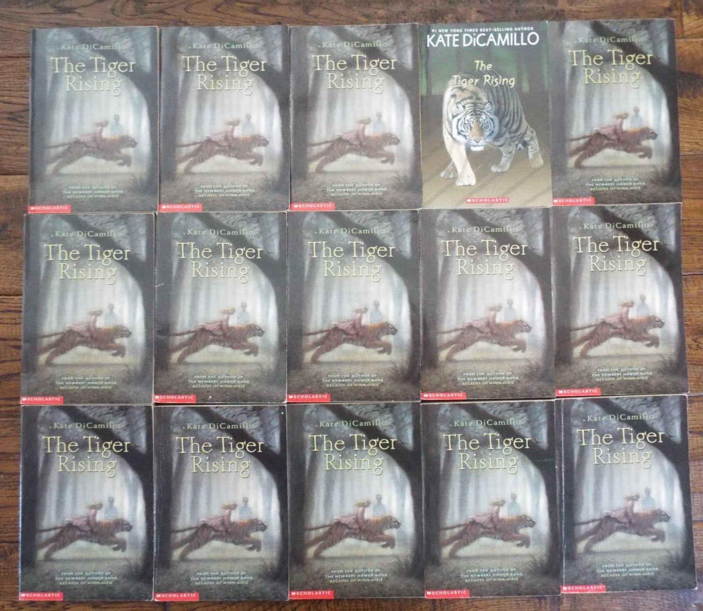 Lot 15 Kate DiCamillo The Tiger Rising Guided Reading Teacher Class Set