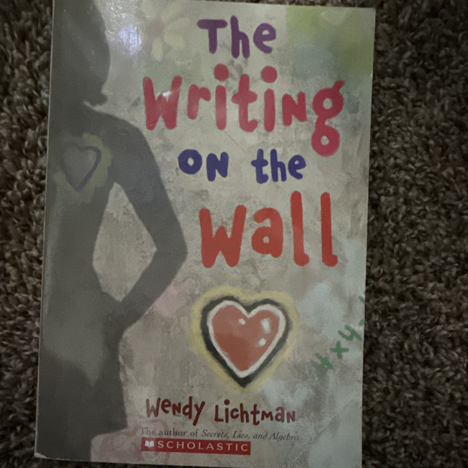 Scholastic The Writing on the Wall Do the Math Ser PB Wendy Lichtman Ages 9-12