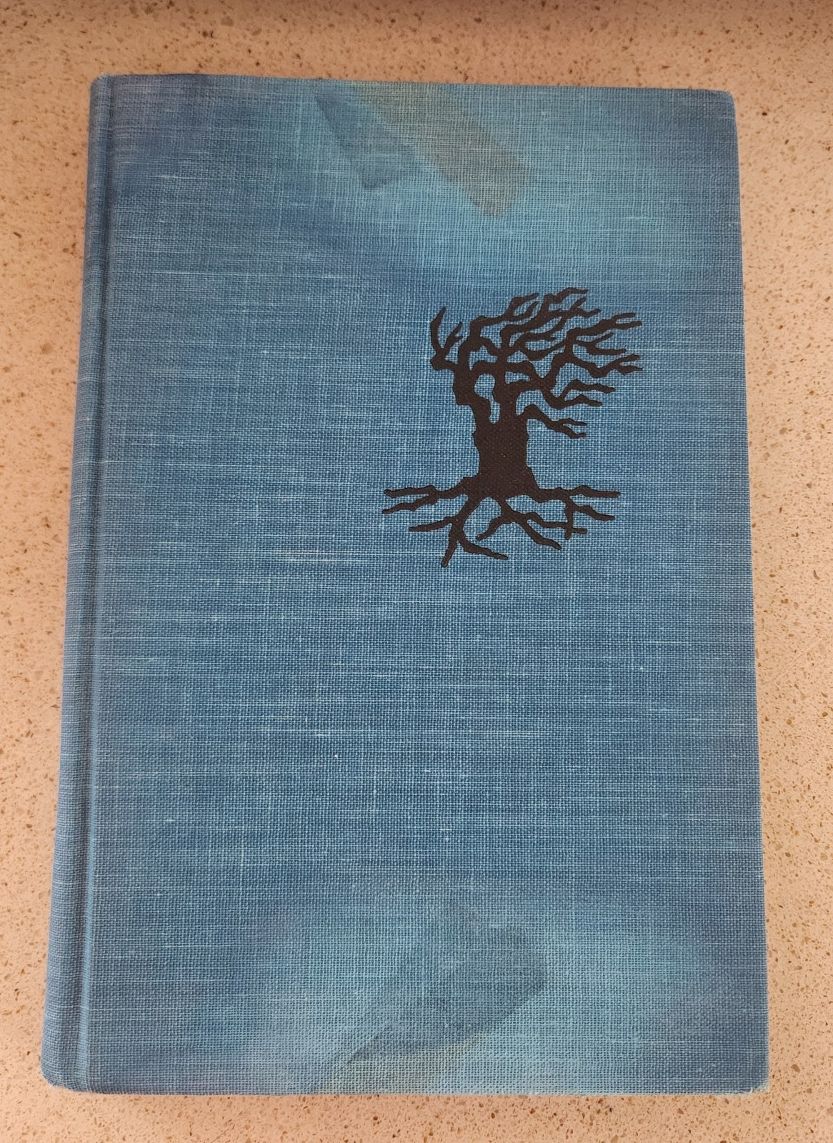 Poems of Edgar Allan Poe Selected by Dwight Macdonald Drawings Ellen Raskin HC