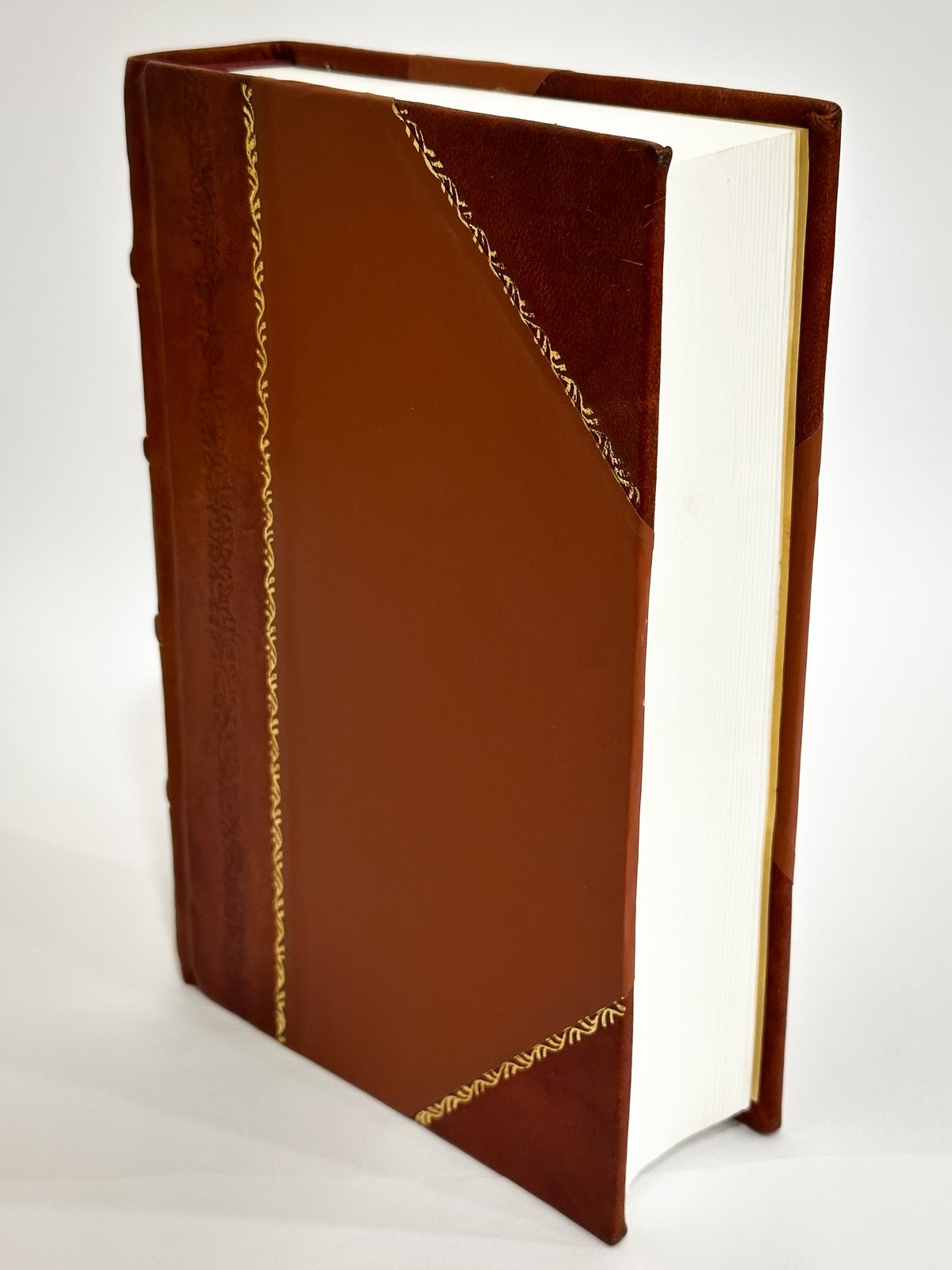 Sv. Prokop, Jeho Klaster a Pamatka U Lidu. by Frantisek Borgias [Leather Bound]