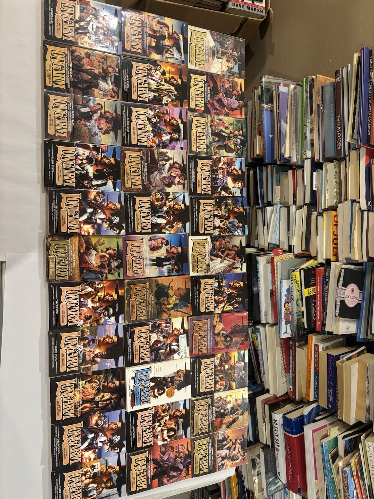 Lot Of 50 Western Longarm Paperback Books By Tabor Evans