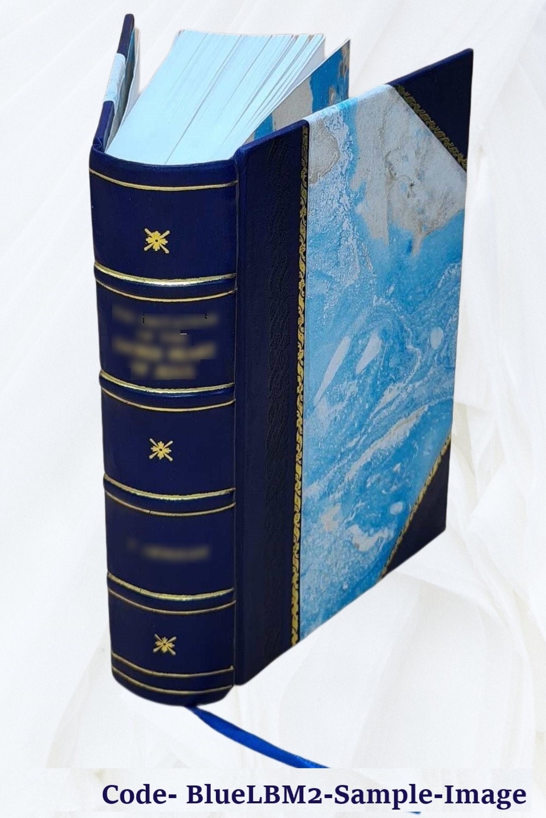 Athanasii Kircheri e Soc. Jesu mundus subterraneus, in XII libro [Leather Bound]