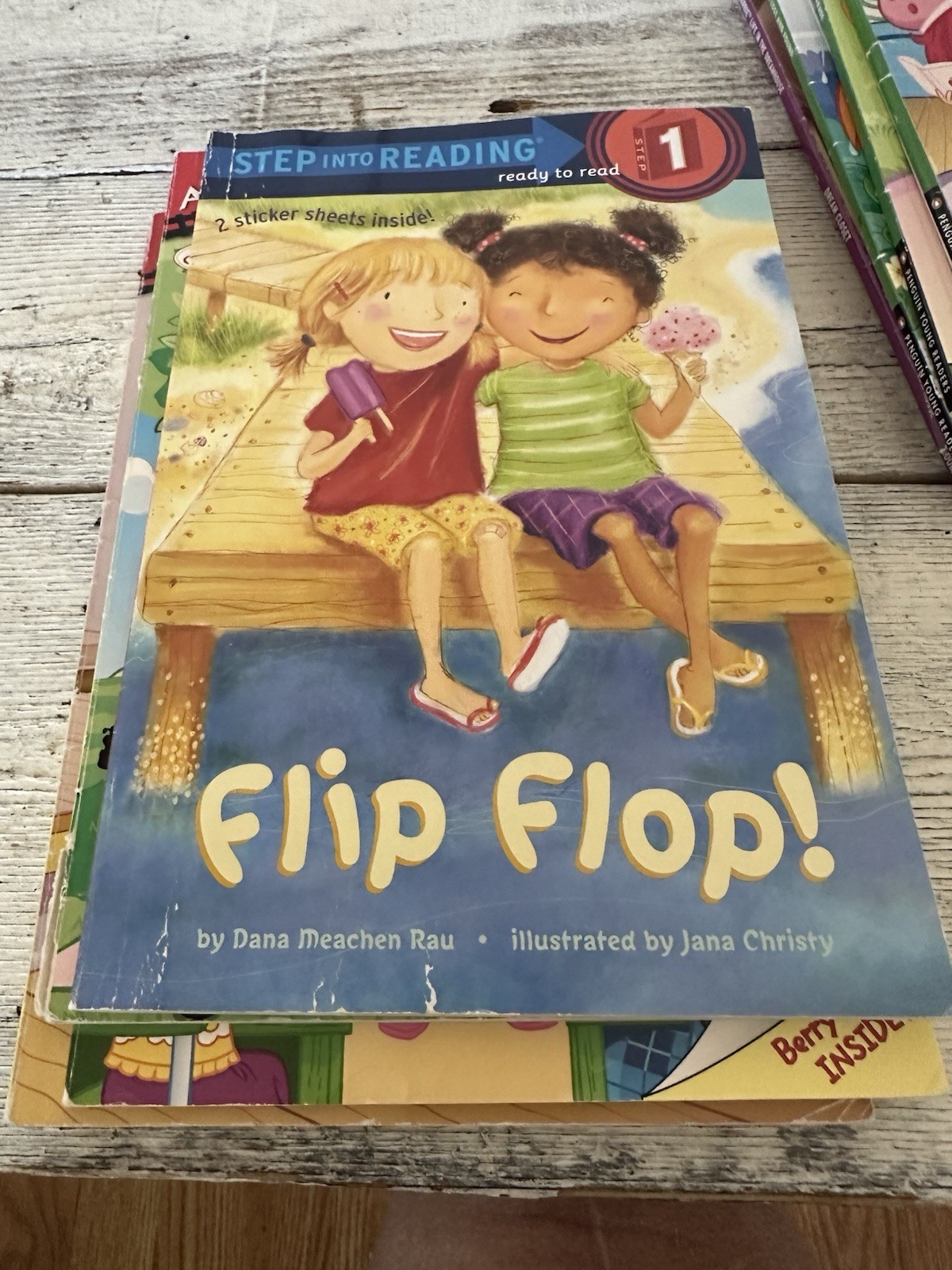 Set Of Kids (girls Interest) Beginner Reading Levels 1-3 Dozen Books