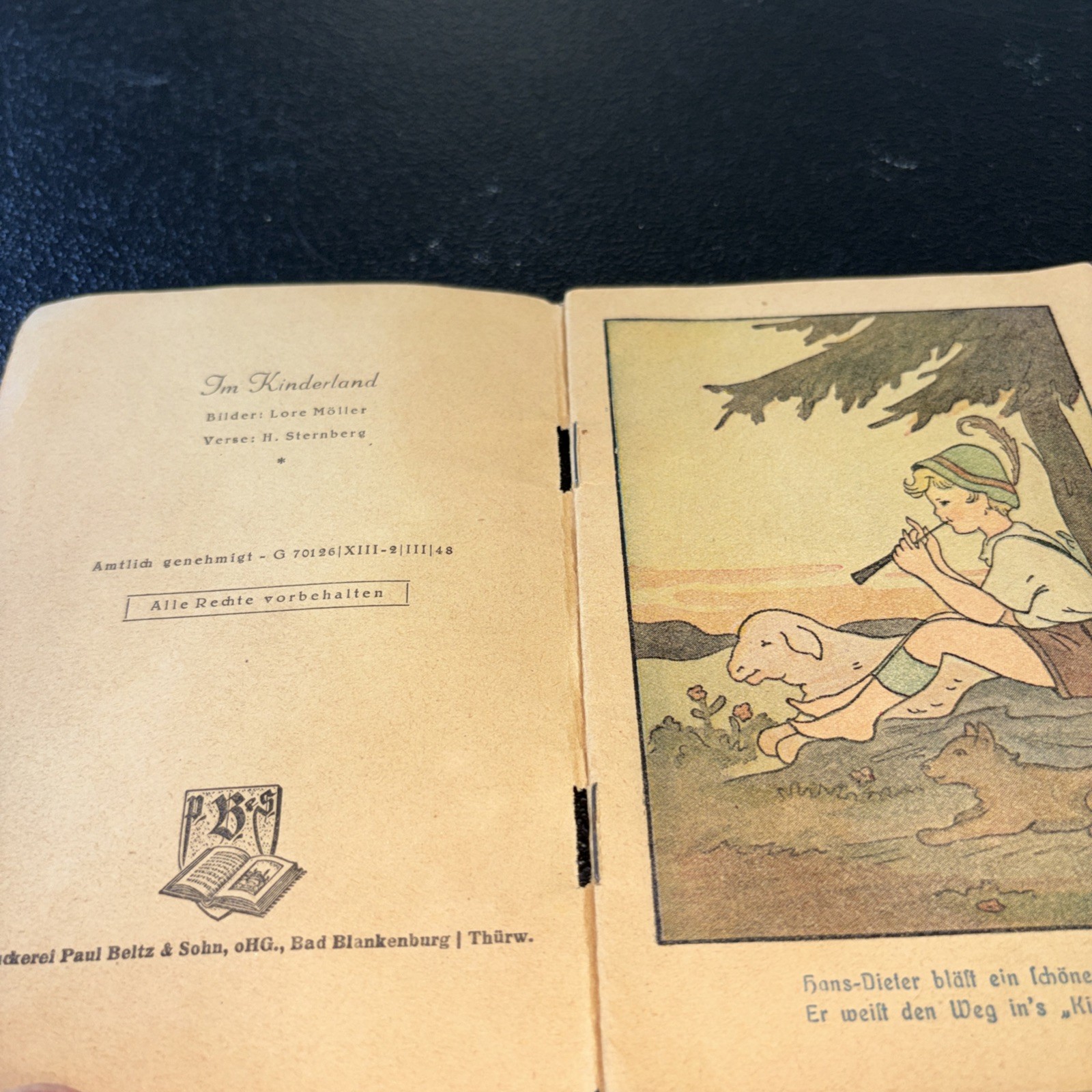 In Kinderland Vintage Booklet in German