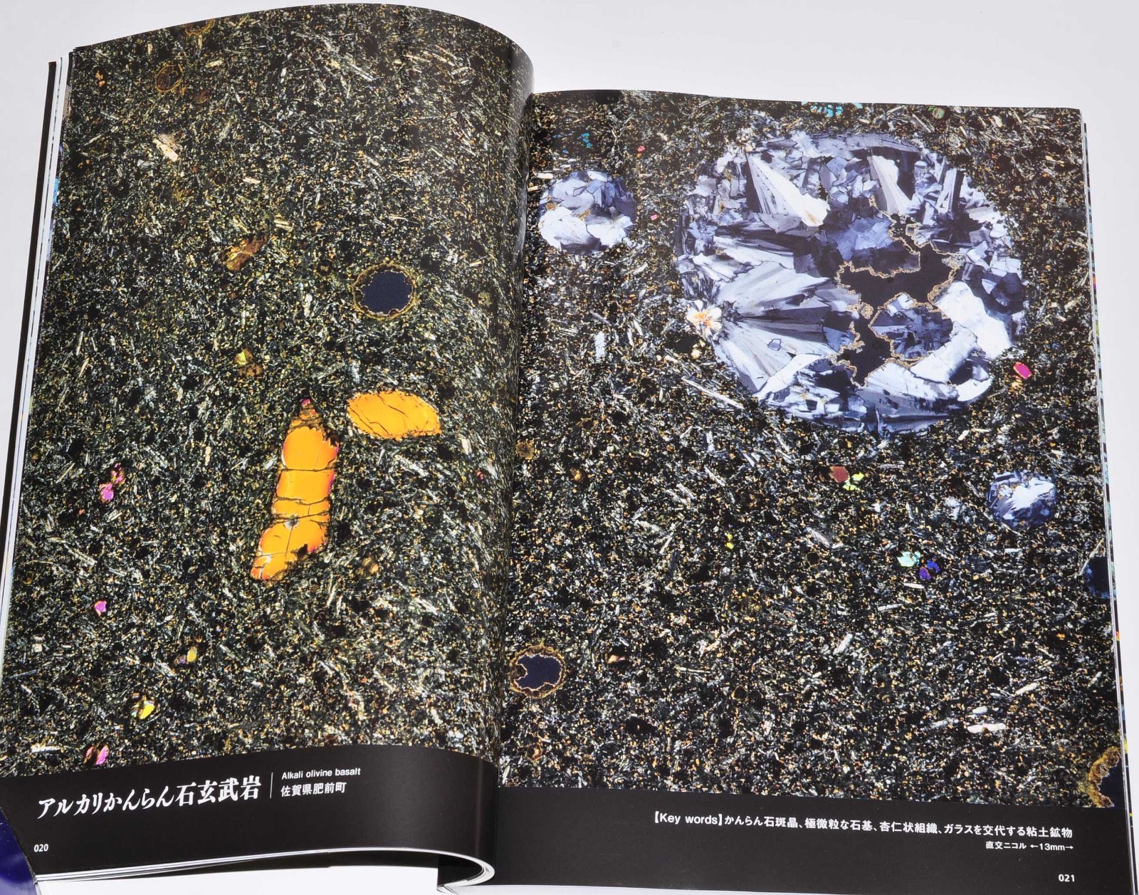 Rock Thin Section Illustrated Guide: Mineral Composition and History from Japan