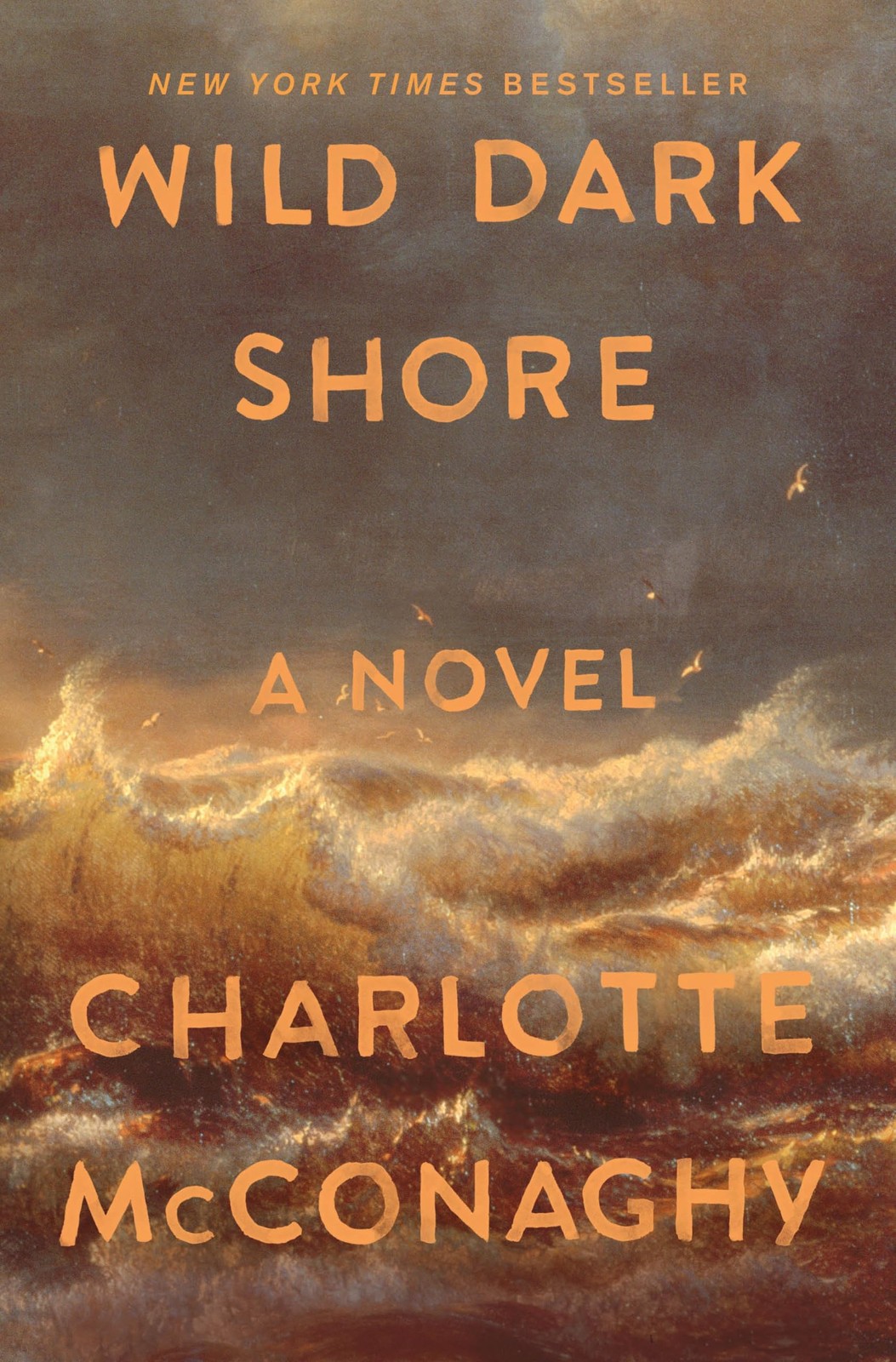 Wild Dark Shore: Reese’s Book Club Pick (A Novel)
