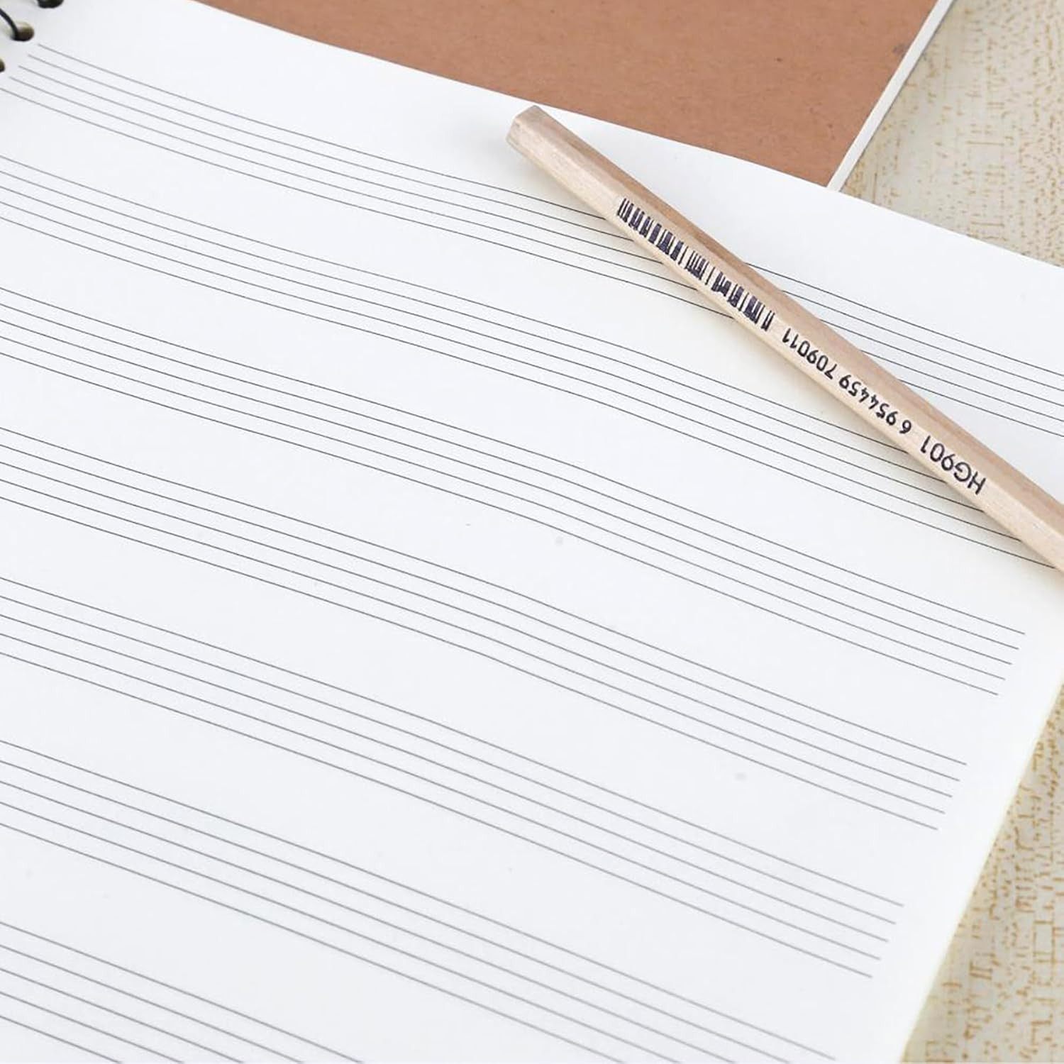 Coguzed 100 Pages Blank Sheet Music Notebook – 26X19cm Staff Paper for Musicians