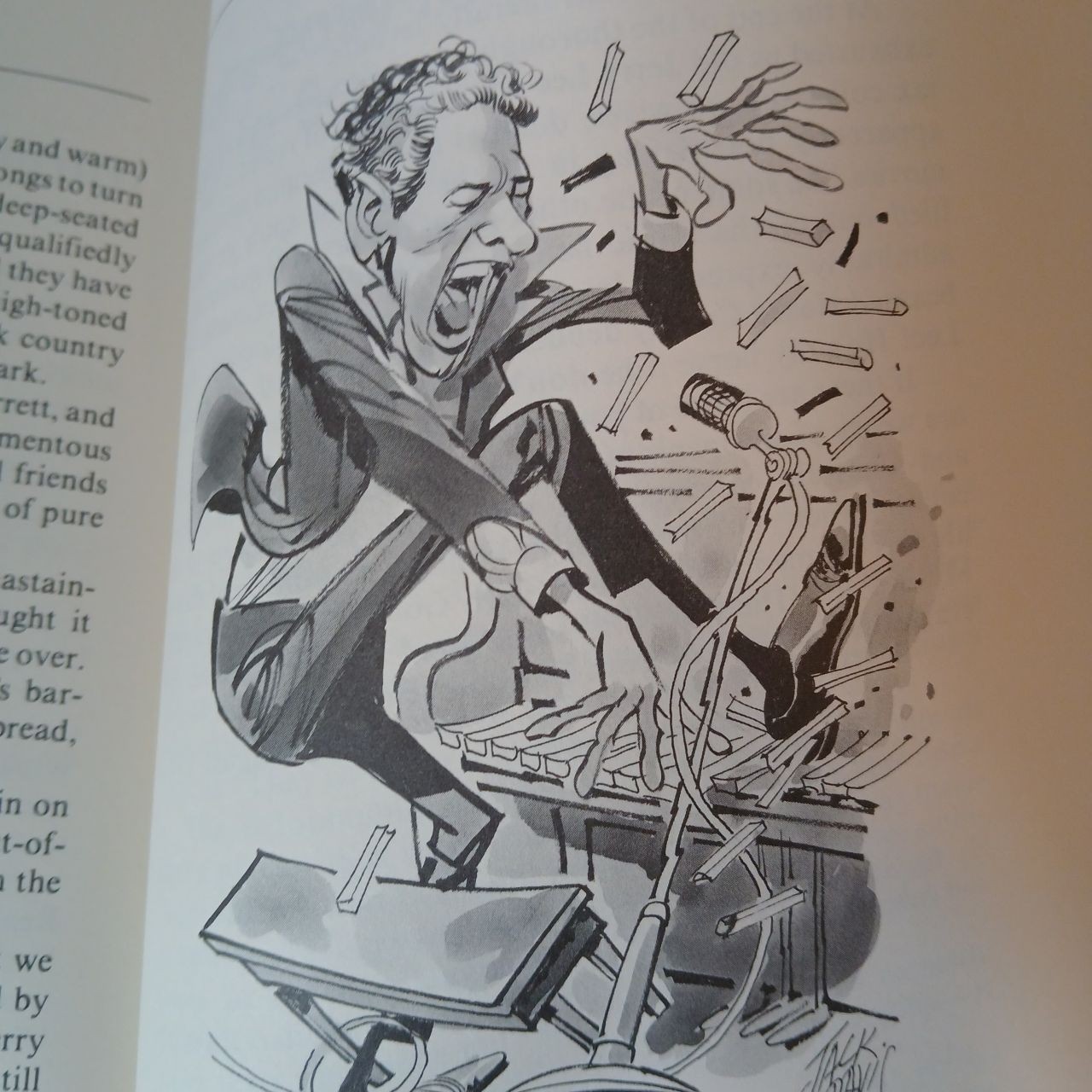 Lucid Intervals Robert L Steed Book Jack Davis Illustrator Mercer University