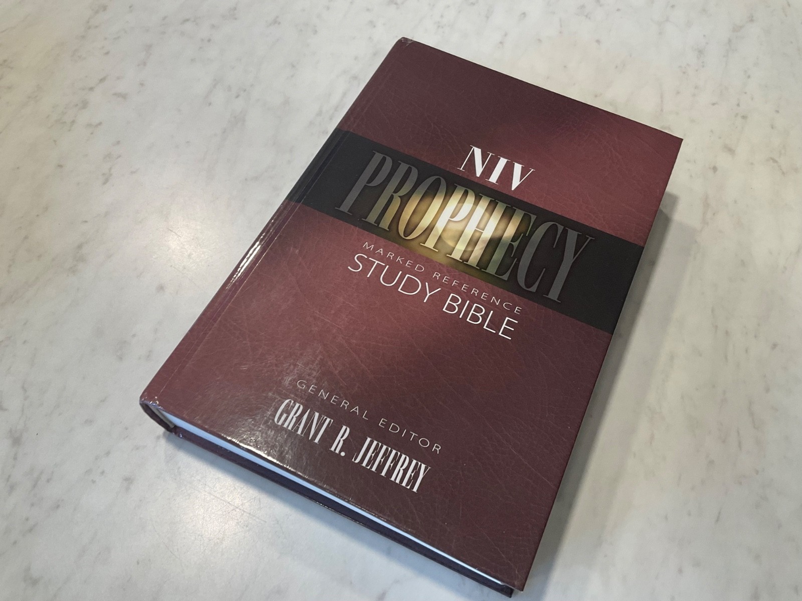 NIV Prophecy Marked Reference Study Bible 1998 Hardcover 1984