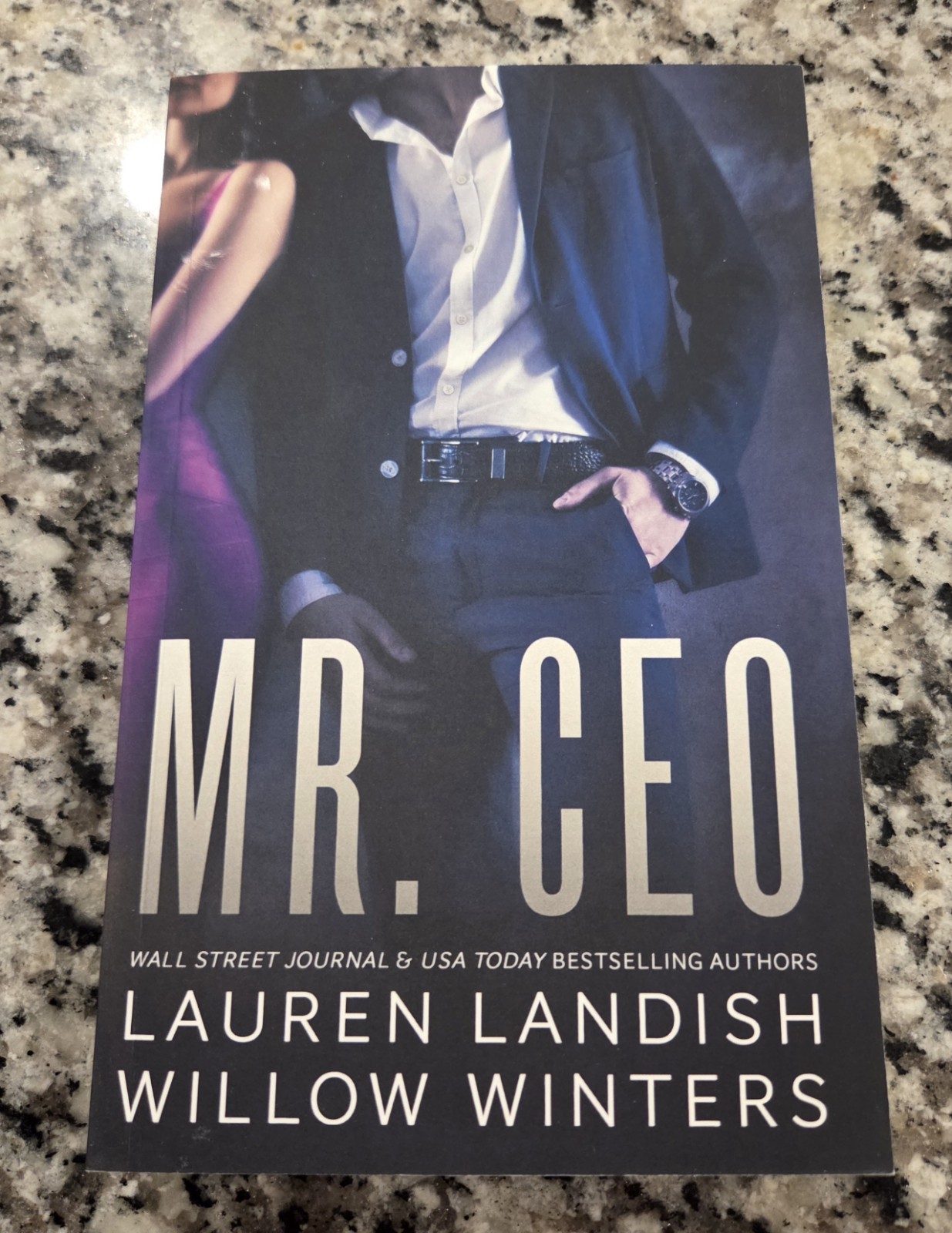 Mr. CEO Paperback Lauren Landish & Willow Winters Book