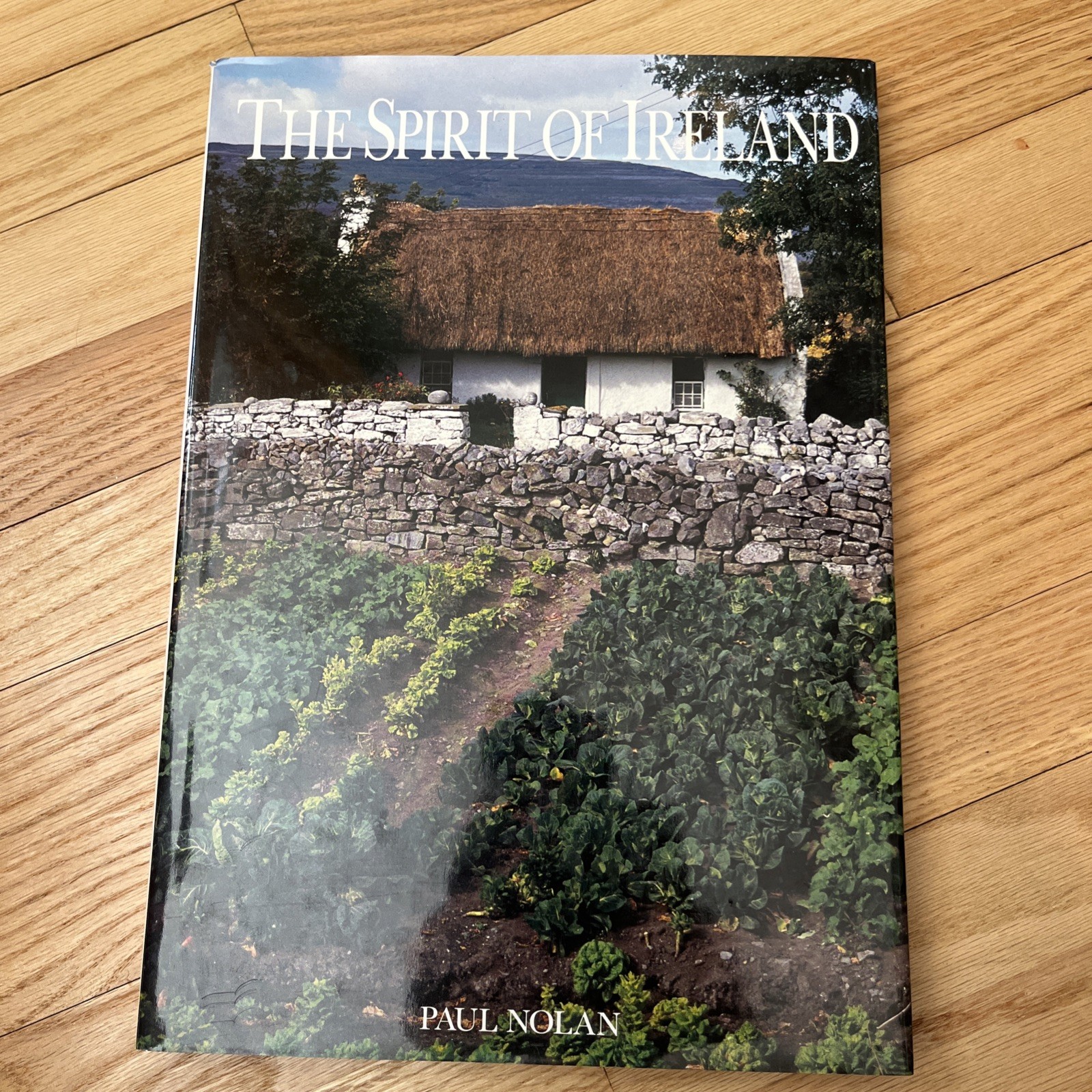 The Spirt of Ireland by John Hinde