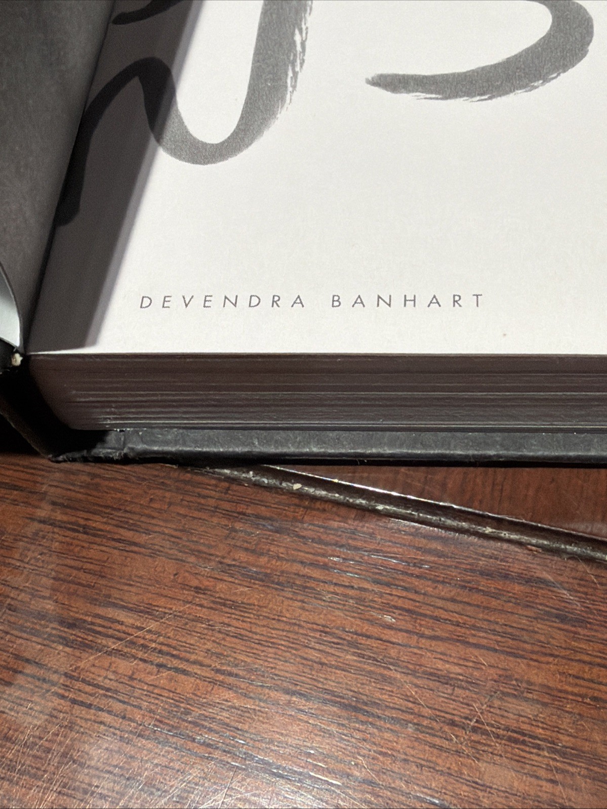 devendra banhart Prestel Verlag Munich Art Book HC 2015