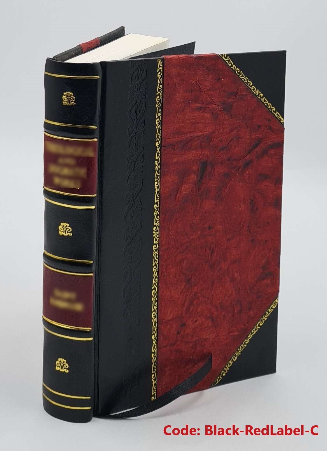 Die Bilanzen der Aktiengesellschaften und der Kommanditgesellsch [Leather Bound]