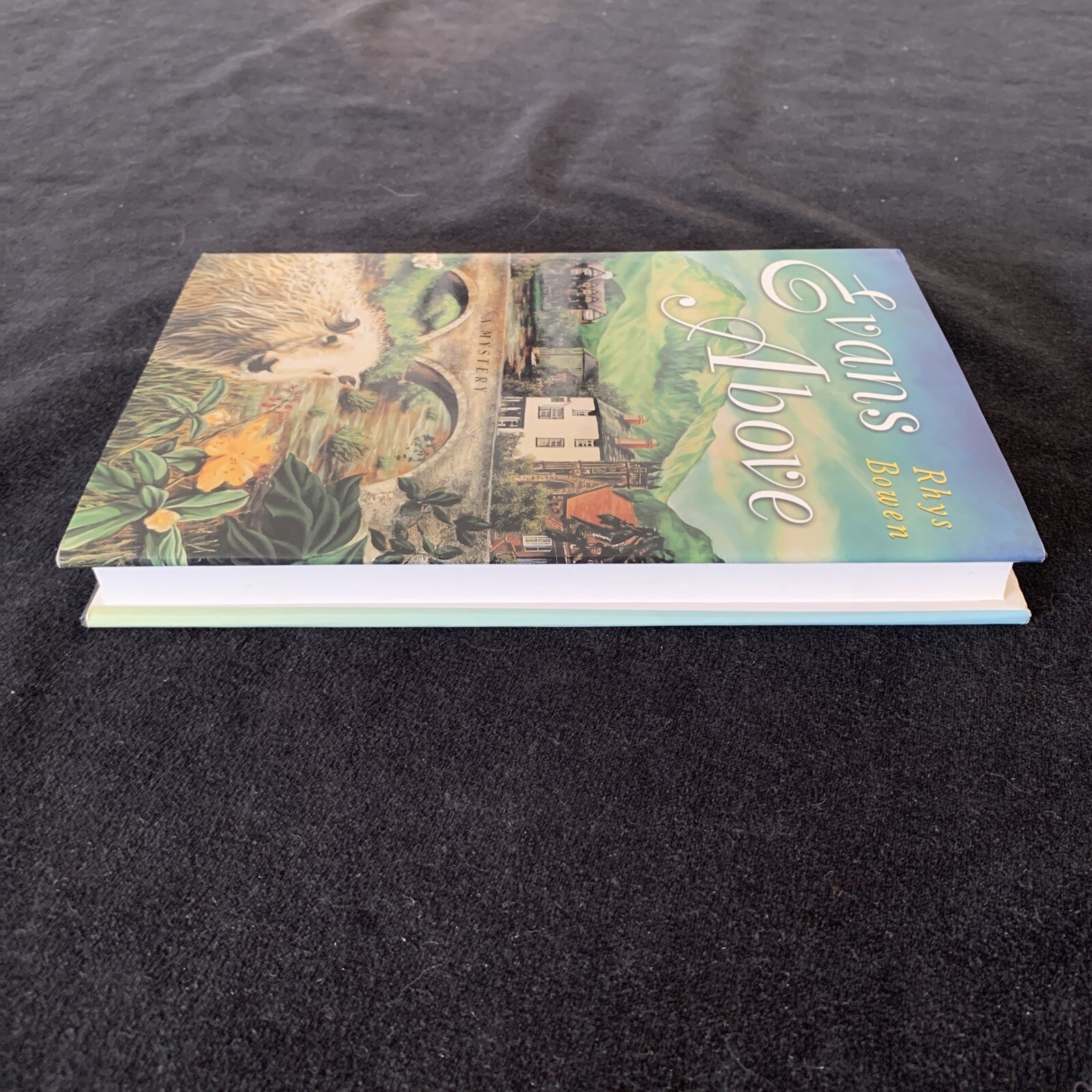 Signed, 1st ed, 2nd print! Evans Above by Bowen, Rhys 1997 HCDJ Unread Like new