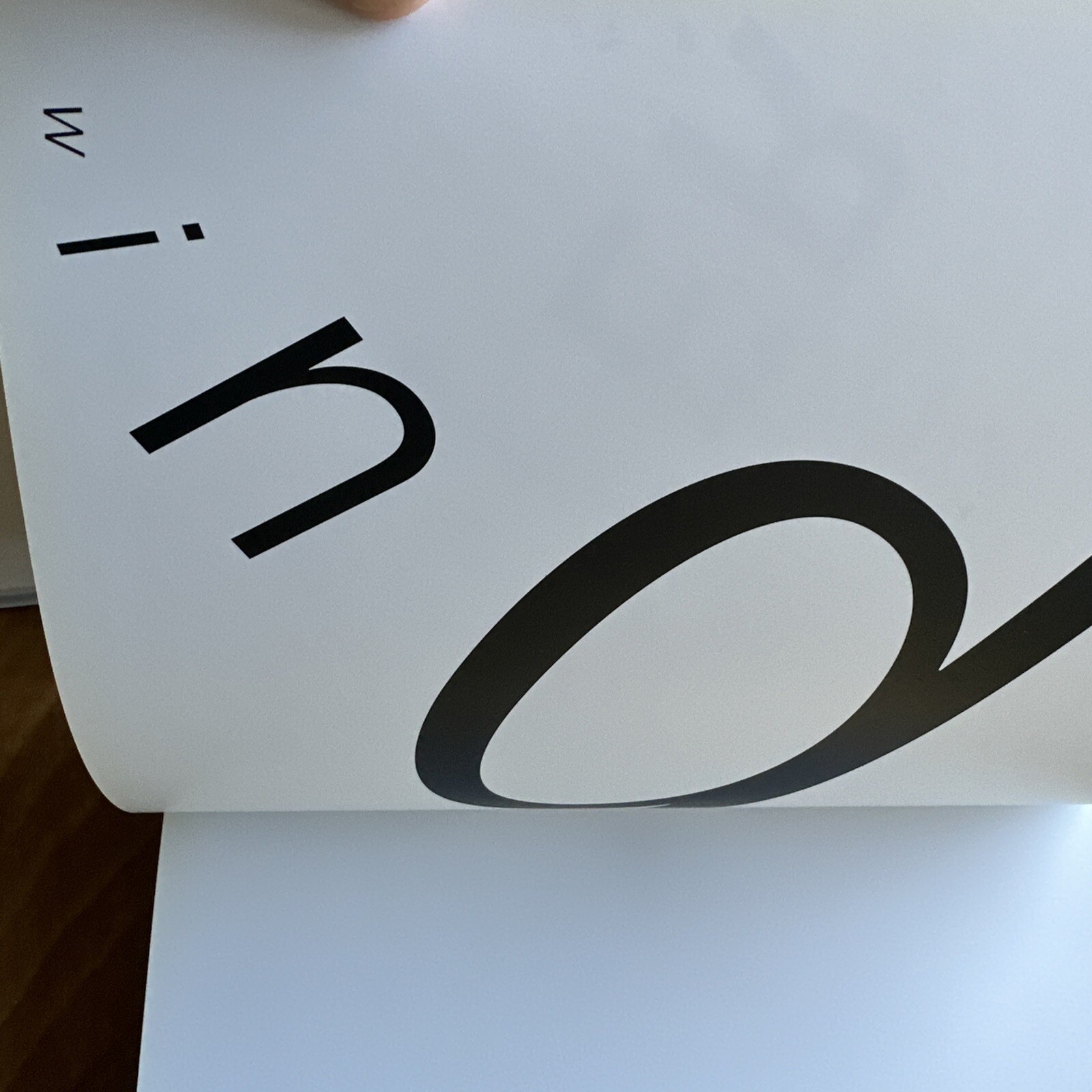 Pictowords – Semantic Typography Niggli Japan Wortbilder Semantische Typografie