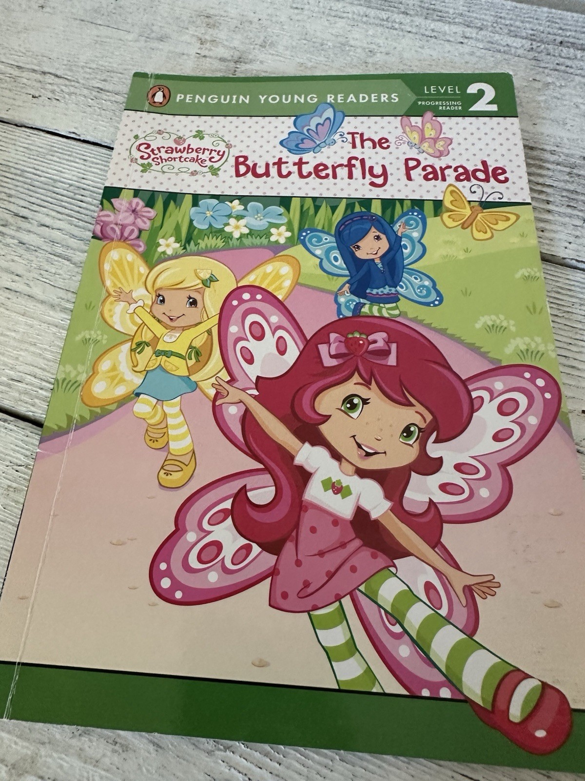 Set Of Kids (girls Interest) Beginner Reading Levels 1-3 Dozen Books