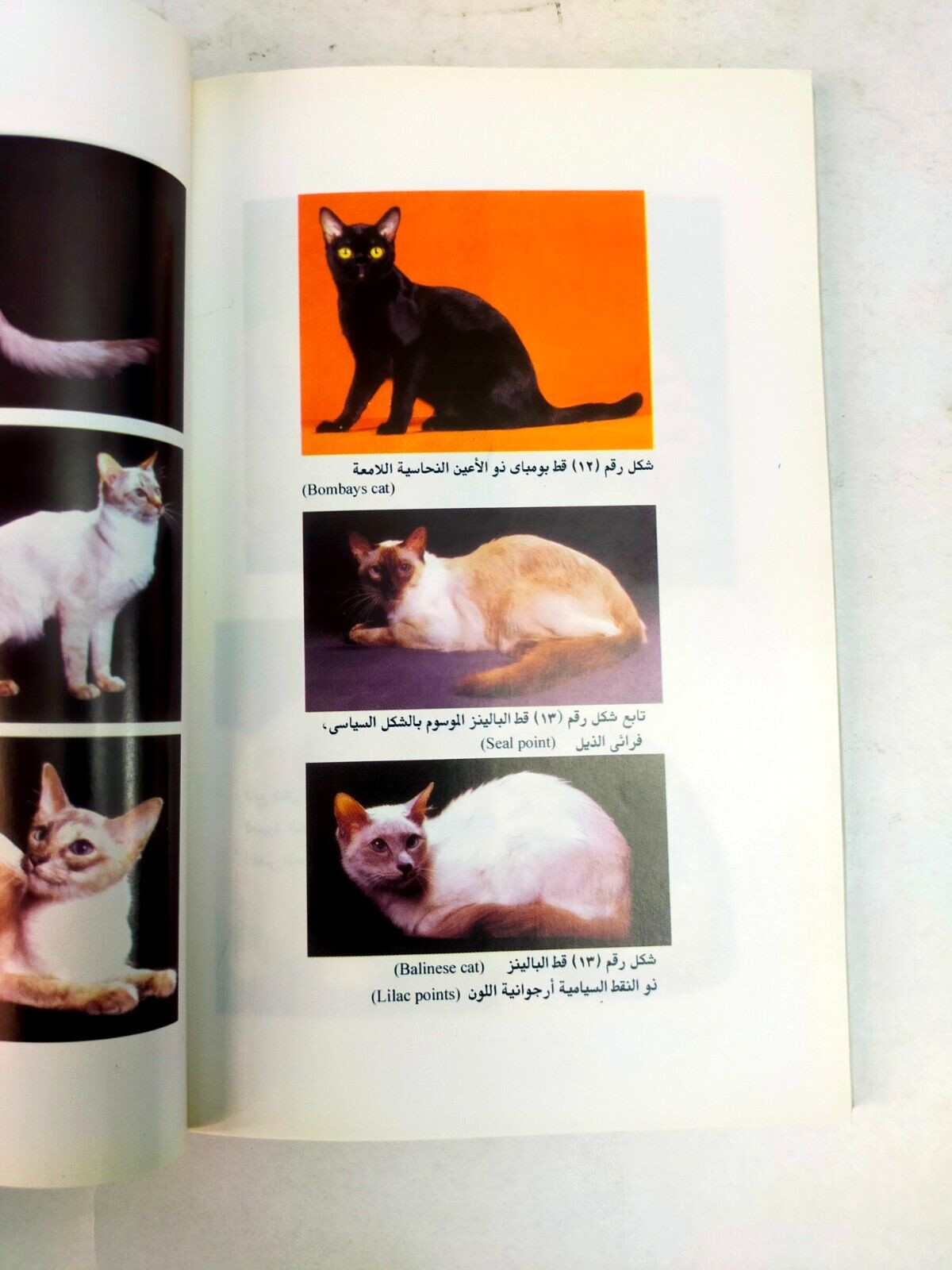 3 Pets books كتب تربية القطط و اسماك الزينة والسلاحف المائية و تغذية الحيوان