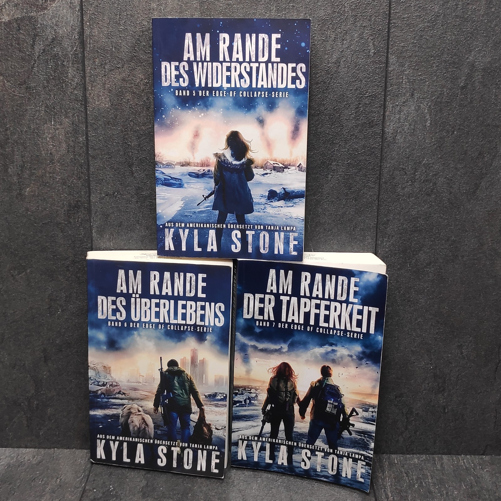 Edge Of Collapse 1-7 Bücher Buch Band 1 2 3 4 5 6 7 • Kyla Stone Am Rande