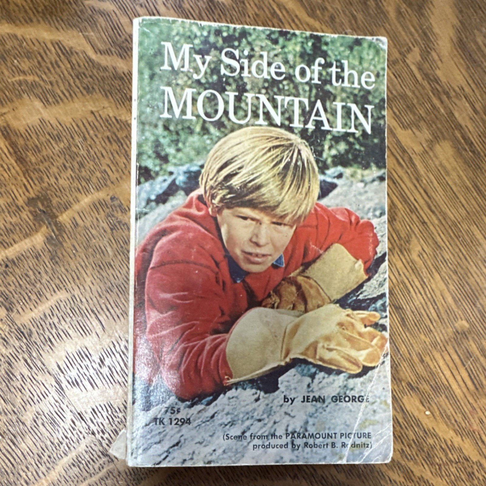 My Side of the Mountain Jean George Paperback Scholastic 1969