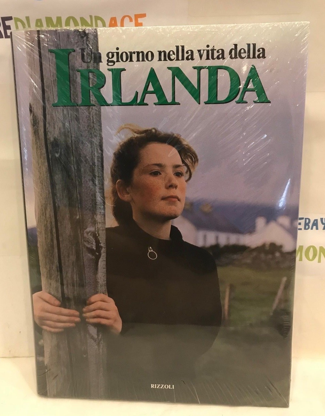 UN GIORNO NELLA VITA DELLA IRLANDA. RIZZOLI HARDCOVER BOOK 14.5 X 10.5in NEW!