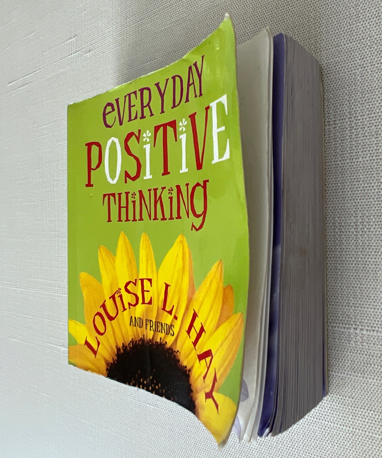 Everyday Positive Thinking Louise Hay House Book And Friends Self-Help 445 Pages